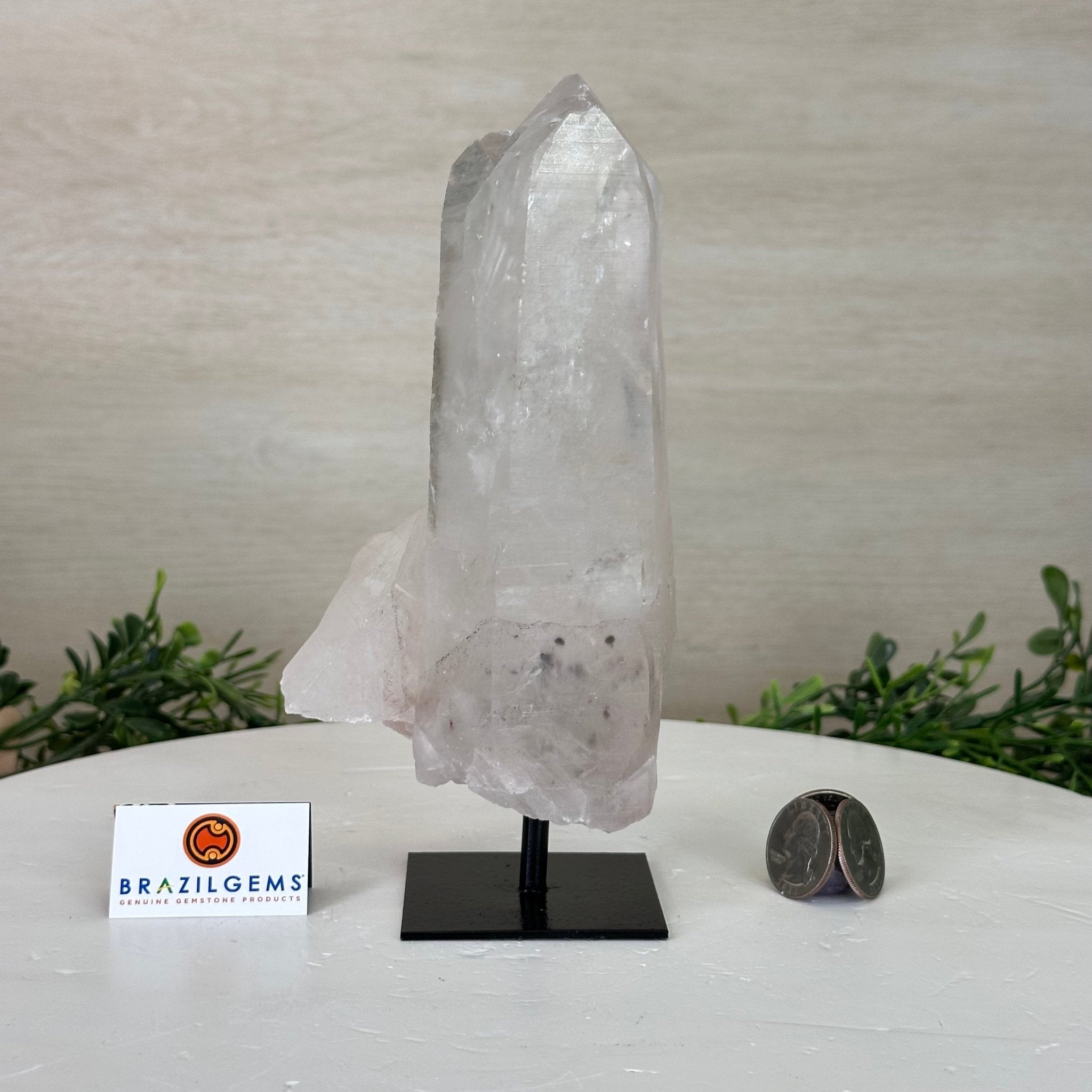 Clear Quartz Crystal Point on a Metal Stand, 2.4 lbs & 7.7" Tall #3122CQ - 014 - Brazil GemsBrazil GemsClear Quartz Crystal Point on a Metal Stand, 2.4 lbs & 7.7" Tall #3122CQ - 014Crystal Points3122CQ - 014