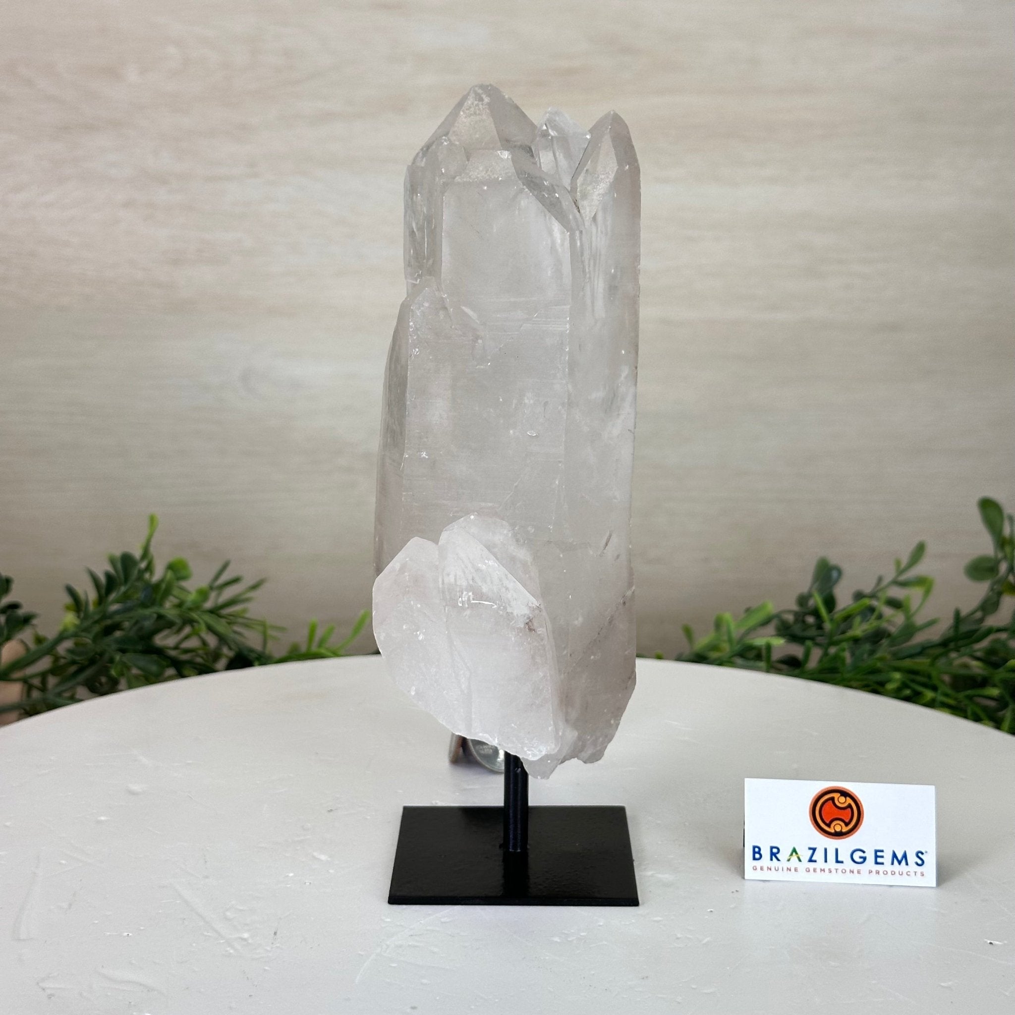 Clear Quartz Crystal Point on a Metal Stand, 2.4 lbs & 7.7" Tall #3122CQ - 014 - Brazil GemsBrazil GemsClear Quartz Crystal Point on a Metal Stand, 2.4 lbs & 7.7" Tall #3122CQ - 014Crystal Points3122CQ - 014