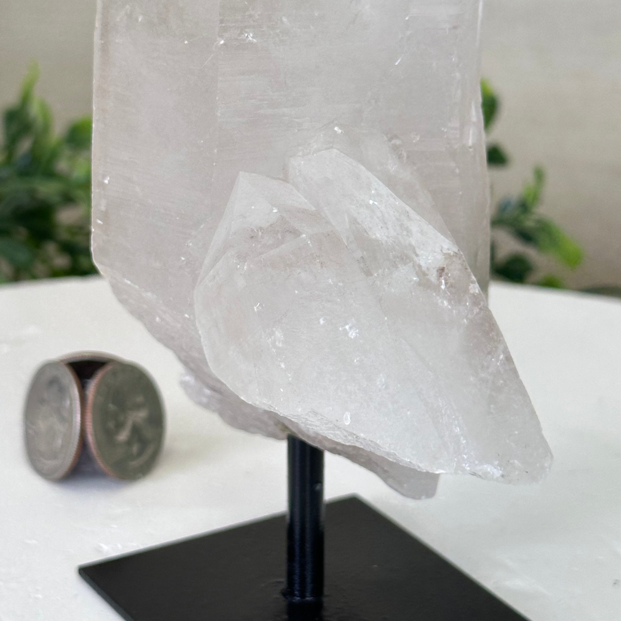 Clear Quartz Crystal Point on a Metal Stand, 2.4 lbs & 7.7" Tall #3122CQ - 014 - Brazil GemsBrazil GemsClear Quartz Crystal Point on a Metal Stand, 2.4 lbs & 7.7" Tall #3122CQ - 014Crystal Points3122CQ - 014