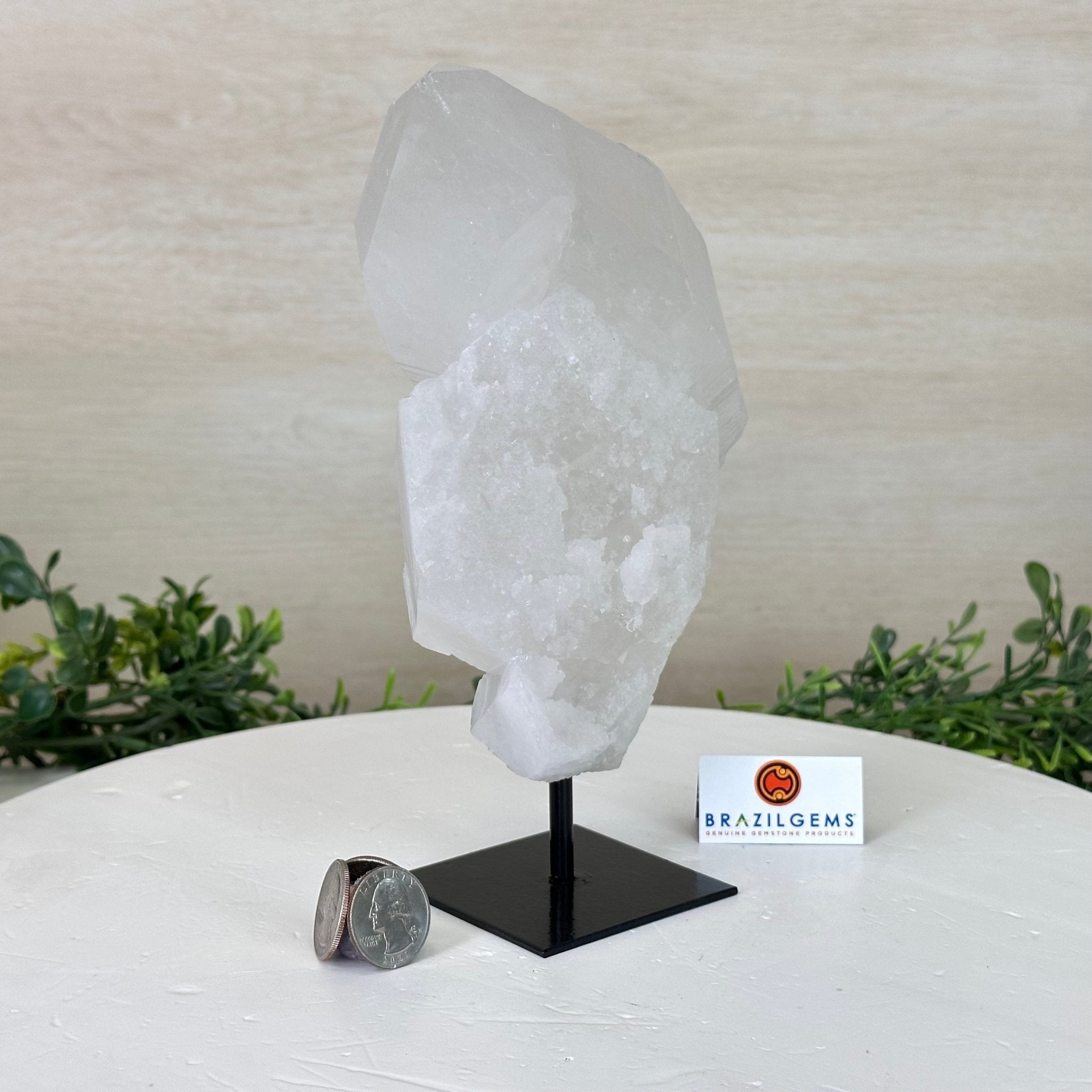 Clear Quartz Crystal Point on a Metal Stand, 3 lbs & 8.4" Tall #3122CQ - 023 - Brazil GemsBrazil GemsClear Quartz Crystal Point on a Metal Stand, 3 lbs & 8.4" Tall #3122CQ - 023Crystal Points3122CQ - 023