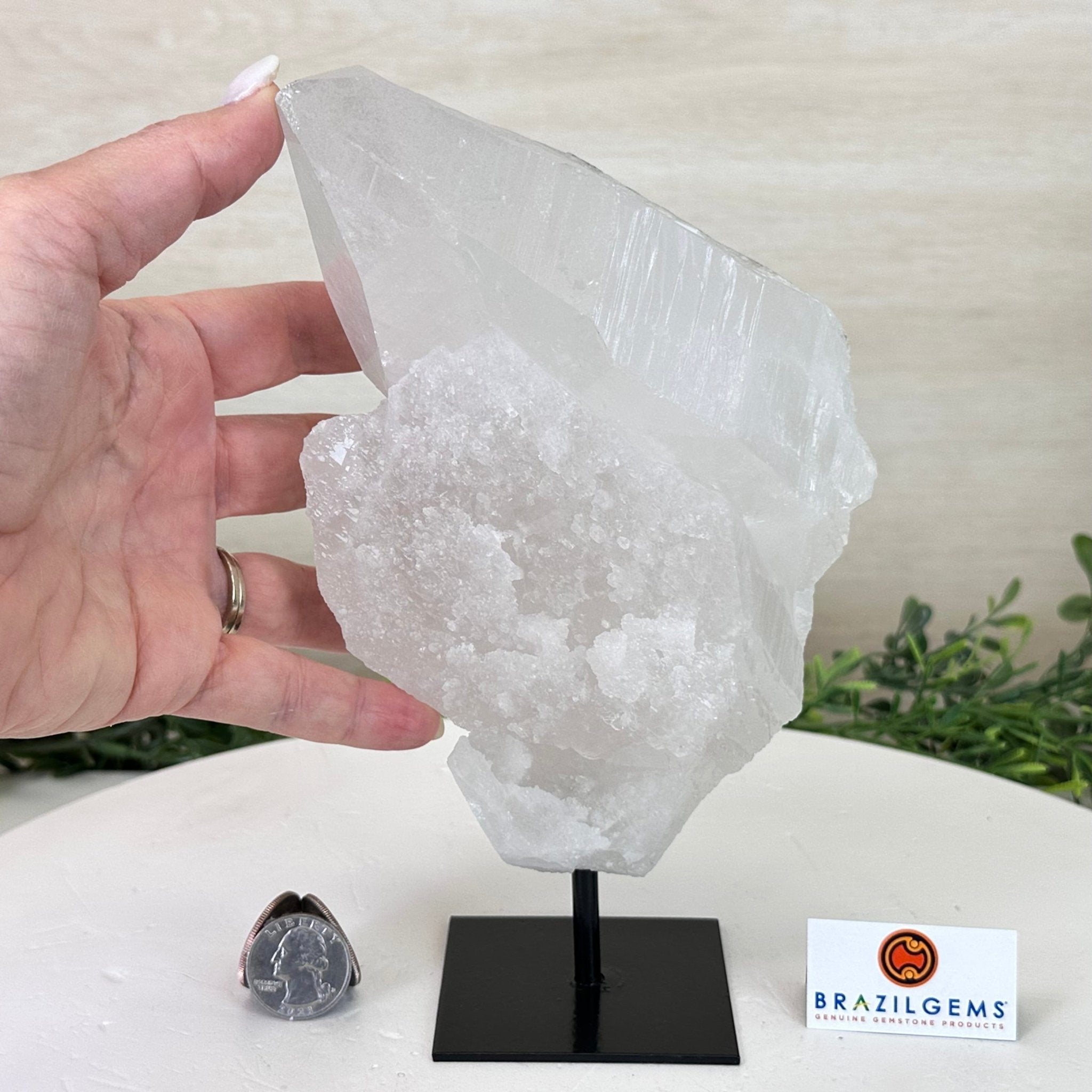 Clear Quartz Crystal Point on a Metal Stand, 3 lbs & 8.4" Tall #3122CQ - 023 - Brazil GemsBrazil GemsClear Quartz Crystal Point on a Metal Stand, 3 lbs & 8.4" Tall #3122CQ - 023Crystal Points3122CQ - 023