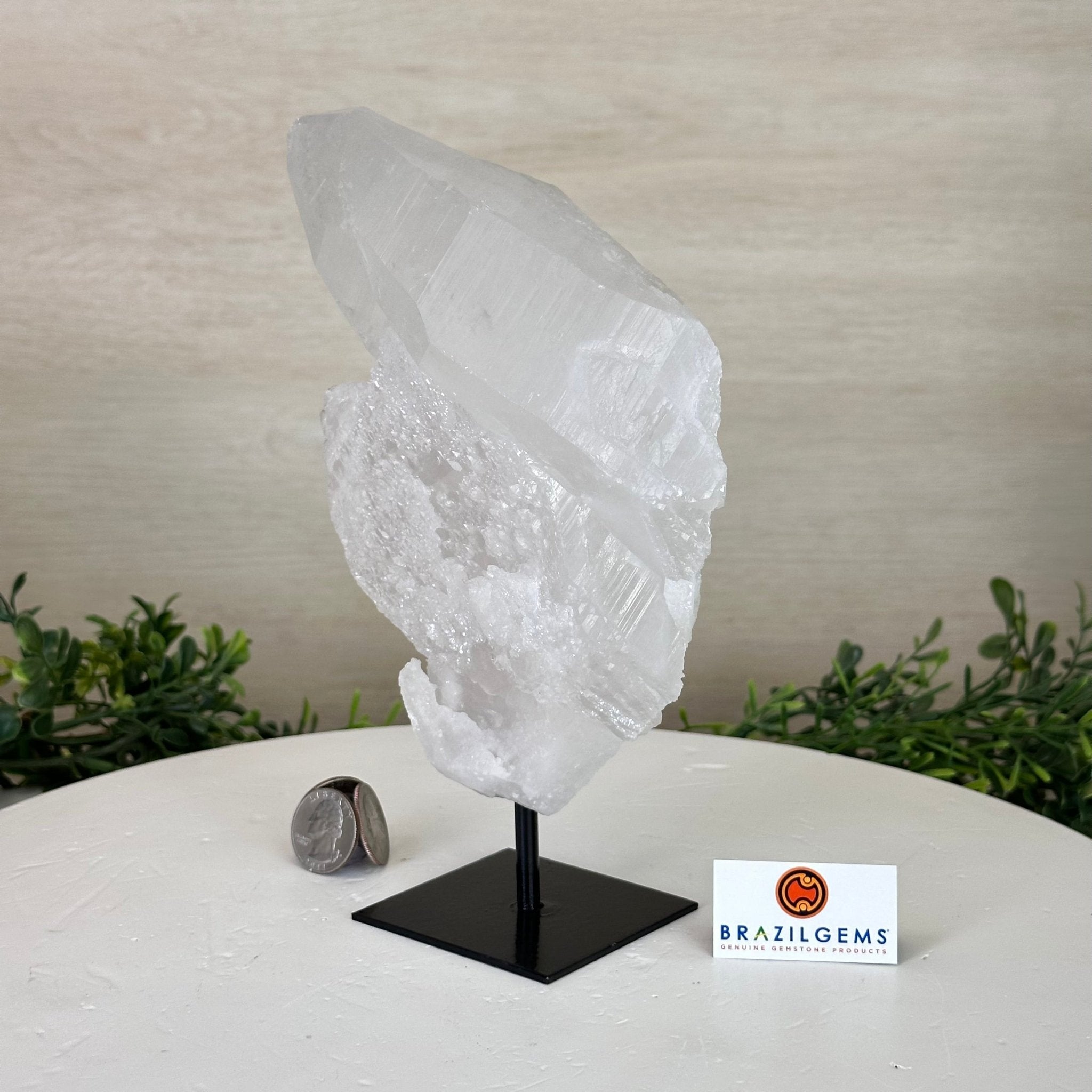 Clear Quartz Crystal Point on a Metal Stand, 3 lbs & 8.4" Tall #3122CQ - 023 - Brazil GemsBrazil GemsClear Quartz Crystal Point on a Metal Stand, 3 lbs & 8.4" Tall #3122CQ - 023Crystal Points3122CQ - 023