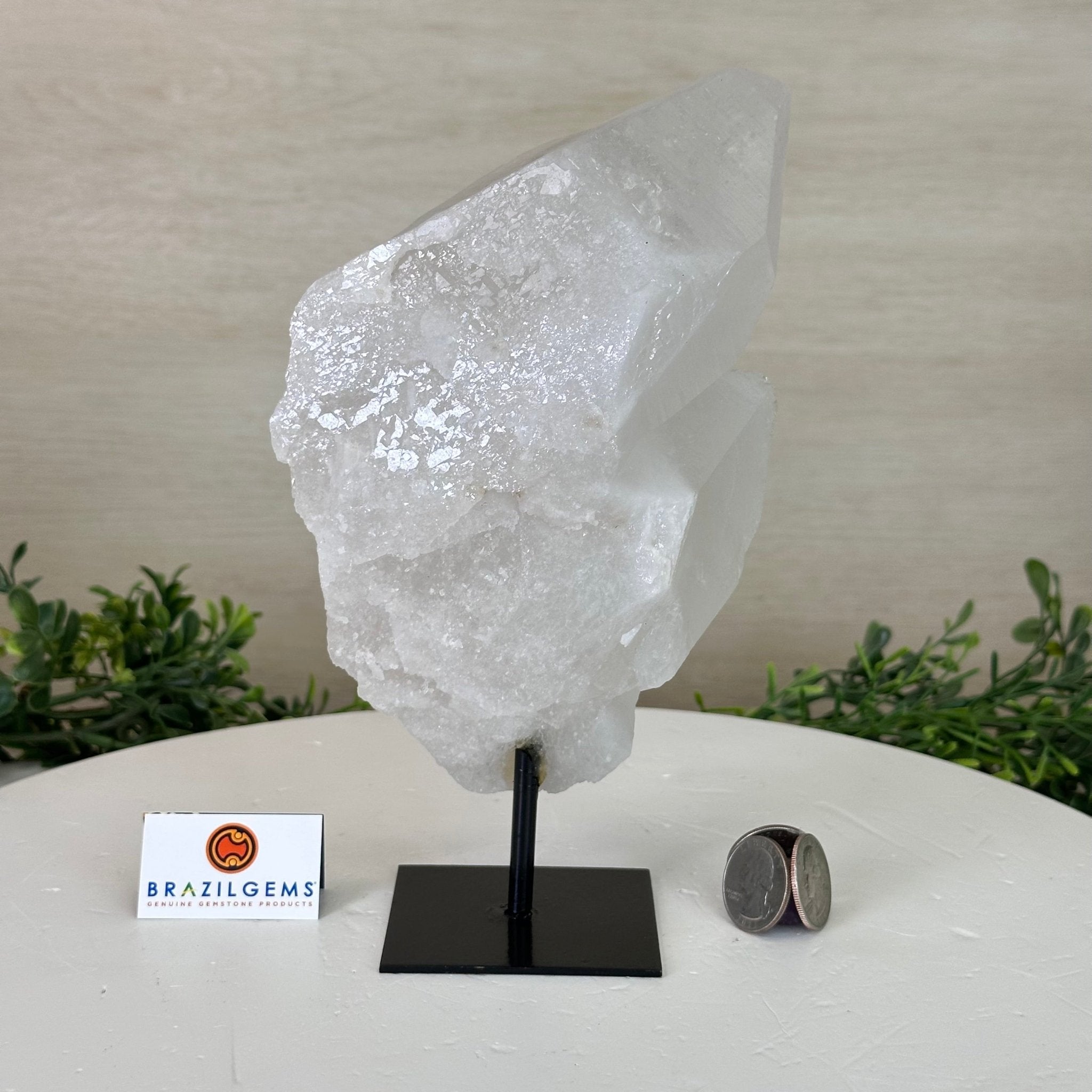 Clear Quartz Crystal Point on a Metal Stand, 3 lbs & 8.4" Tall #3122CQ - 023 - Brazil GemsBrazil GemsClear Quartz Crystal Point on a Metal Stand, 3 lbs & 8.4" Tall #3122CQ - 023Crystal Points3122CQ - 023