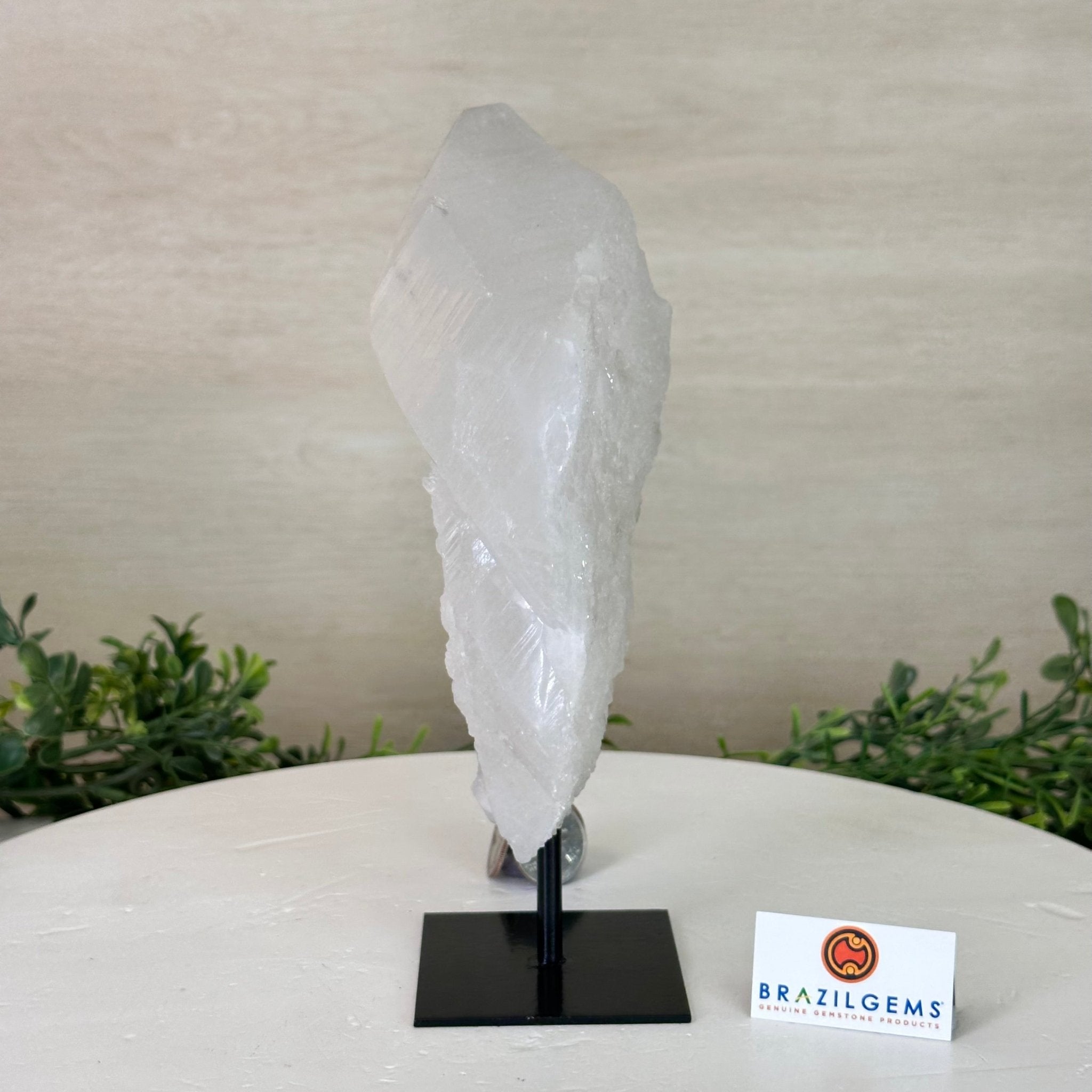 Clear Quartz Crystal Point on a Metal Stand, 3 lbs & 8.4" Tall #3122CQ - 023 - Brazil GemsBrazil GemsClear Quartz Crystal Point on a Metal Stand, 3 lbs & 8.4" Tall #3122CQ - 023Crystal Points3122CQ - 023