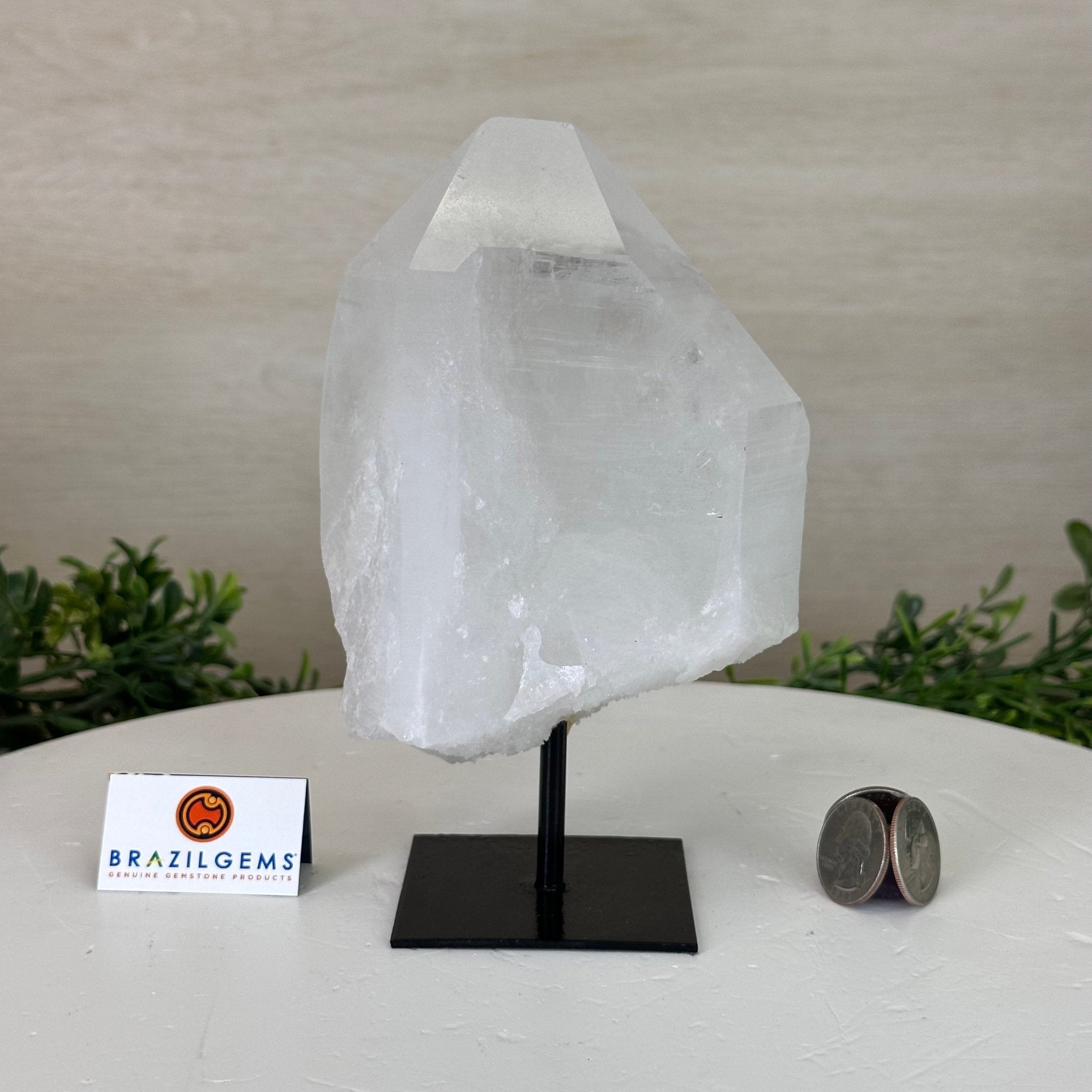 Clear Quartz Crystal Point on a Metal Stand, 3.1 lbs & 6.8" Tall #3122CQ - 024 - Brazil GemsBrazil GemsClear Quartz Crystal Point on a Metal Stand, 3.1 lbs & 6.8" Tall #3122CQ - 024Crystal Points3122CQ - 024