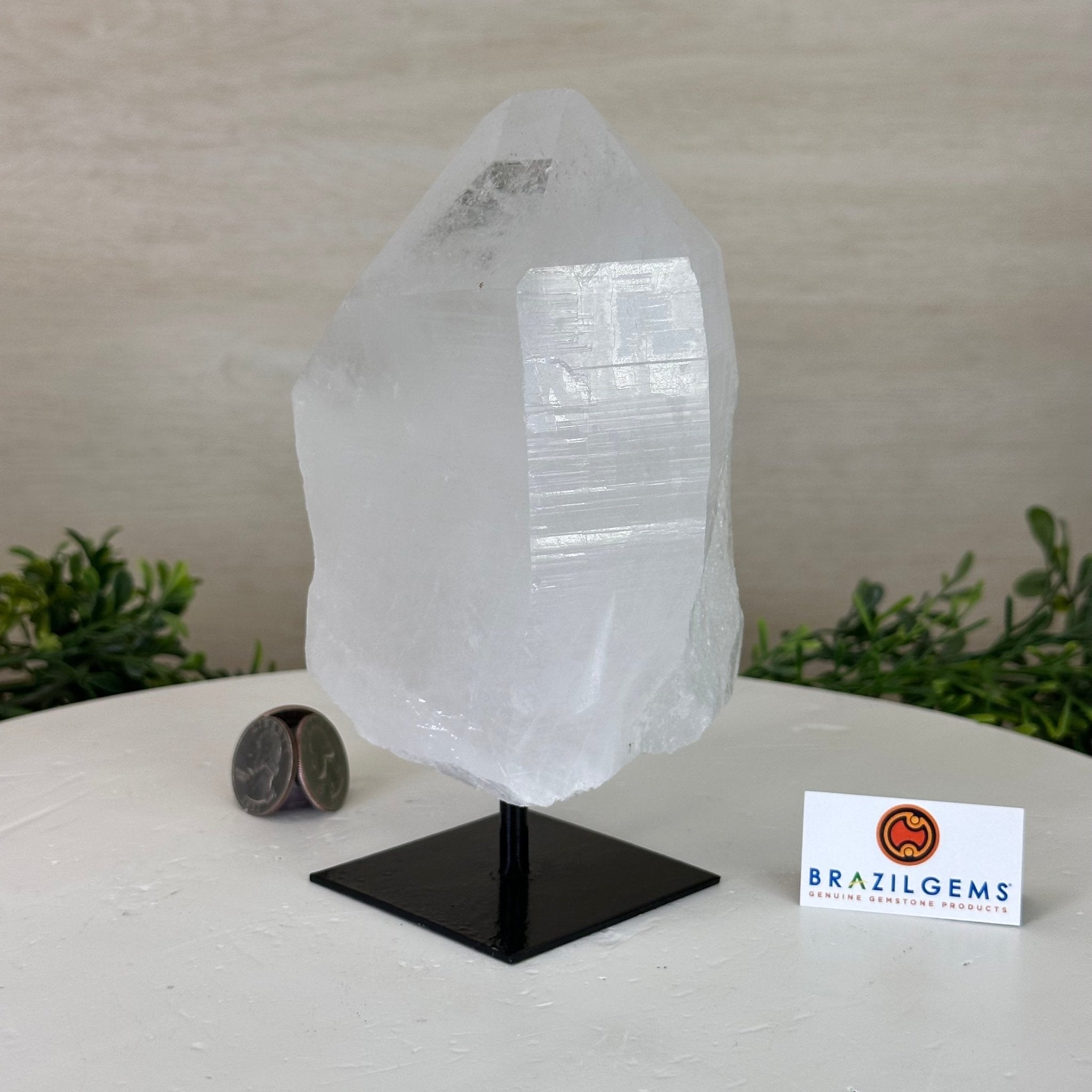 Clear Quartz Crystal Point on a Metal Stand, 3.1 lbs & 6.8" Tall #3122CQ - 024 - Brazil GemsBrazil GemsClear Quartz Crystal Point on a Metal Stand, 3.1 lbs & 6.8" Tall #3122CQ - 024Crystal Points3122CQ - 024