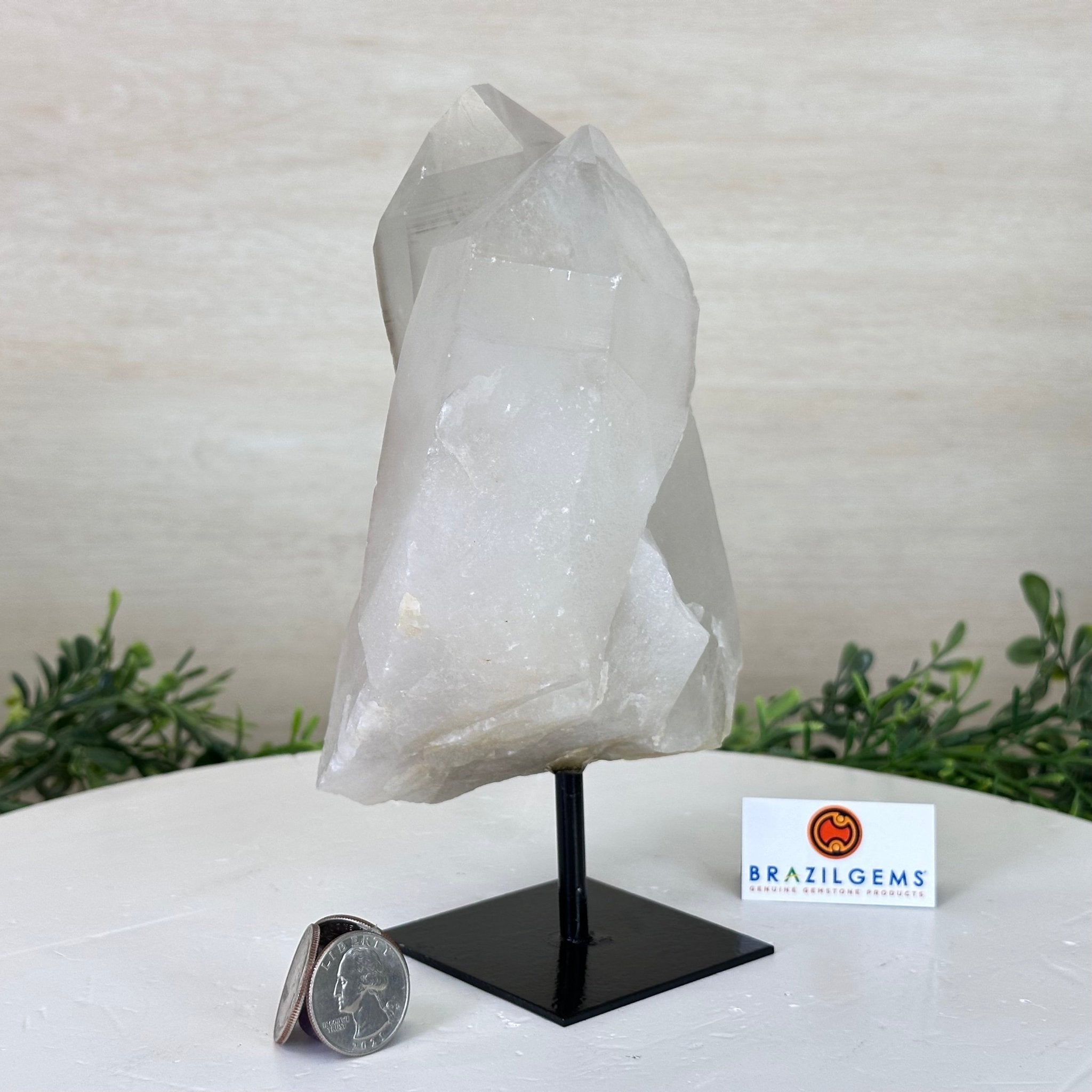 Clear Quartz Crystal Point on a Metal Stand, 3.6 lbs & 7.6" Tall #3122CQ - 016 - Brazil GemsBrazil GemsClear Quartz Crystal Point on a Metal Stand, 3.6 lbs & 7.6" Tall #3122CQ - 016Crystal Points3122CQ - 016