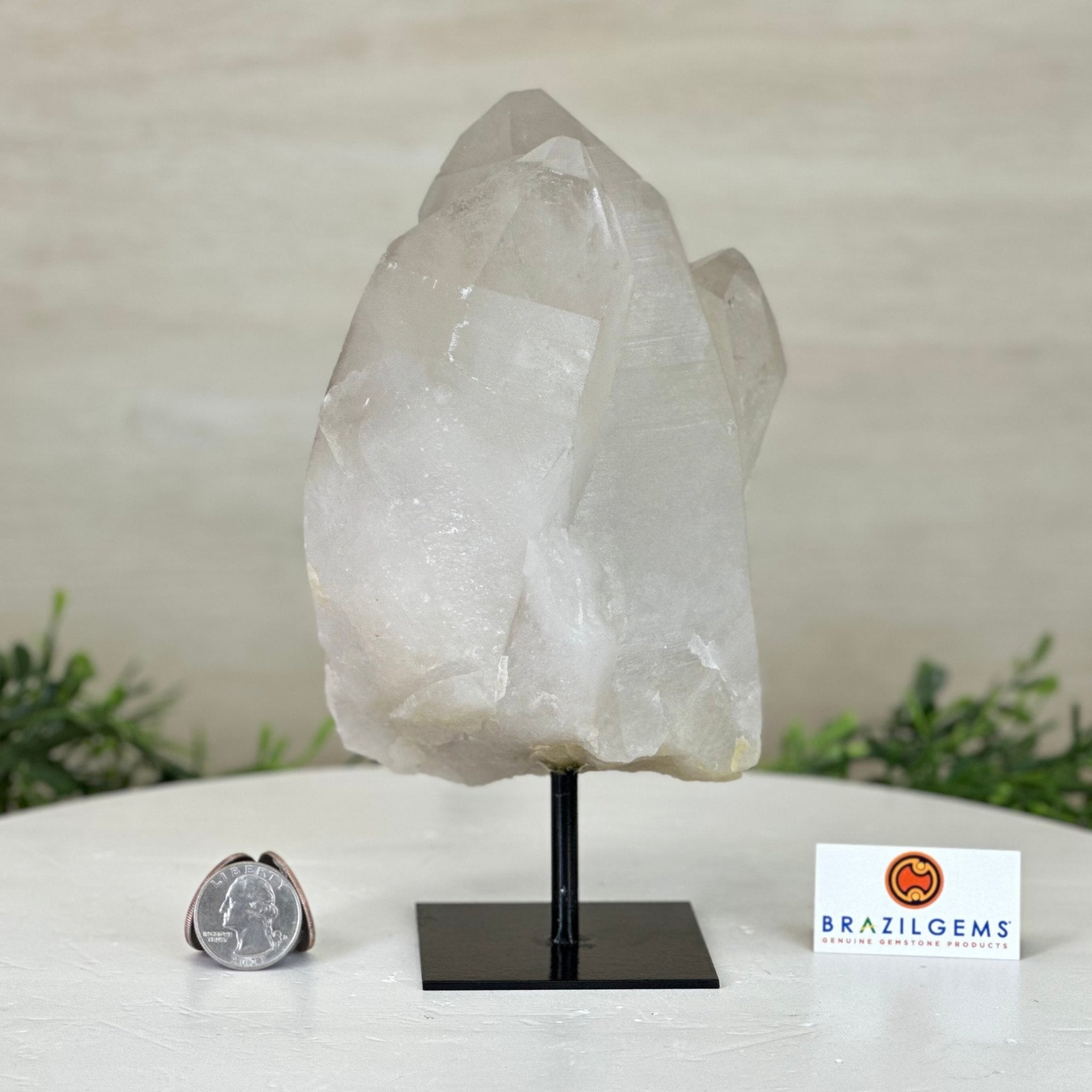 Clear Quartz Crystal Point on a Metal Stand, 3.6 lbs & 7.6" Tall #3122CQ - 016 - Brazil GemsBrazil GemsClear Quartz Crystal Point on a Metal Stand, 3.6 lbs & 7.6" Tall #3122CQ - 016Crystal Points3122CQ - 016