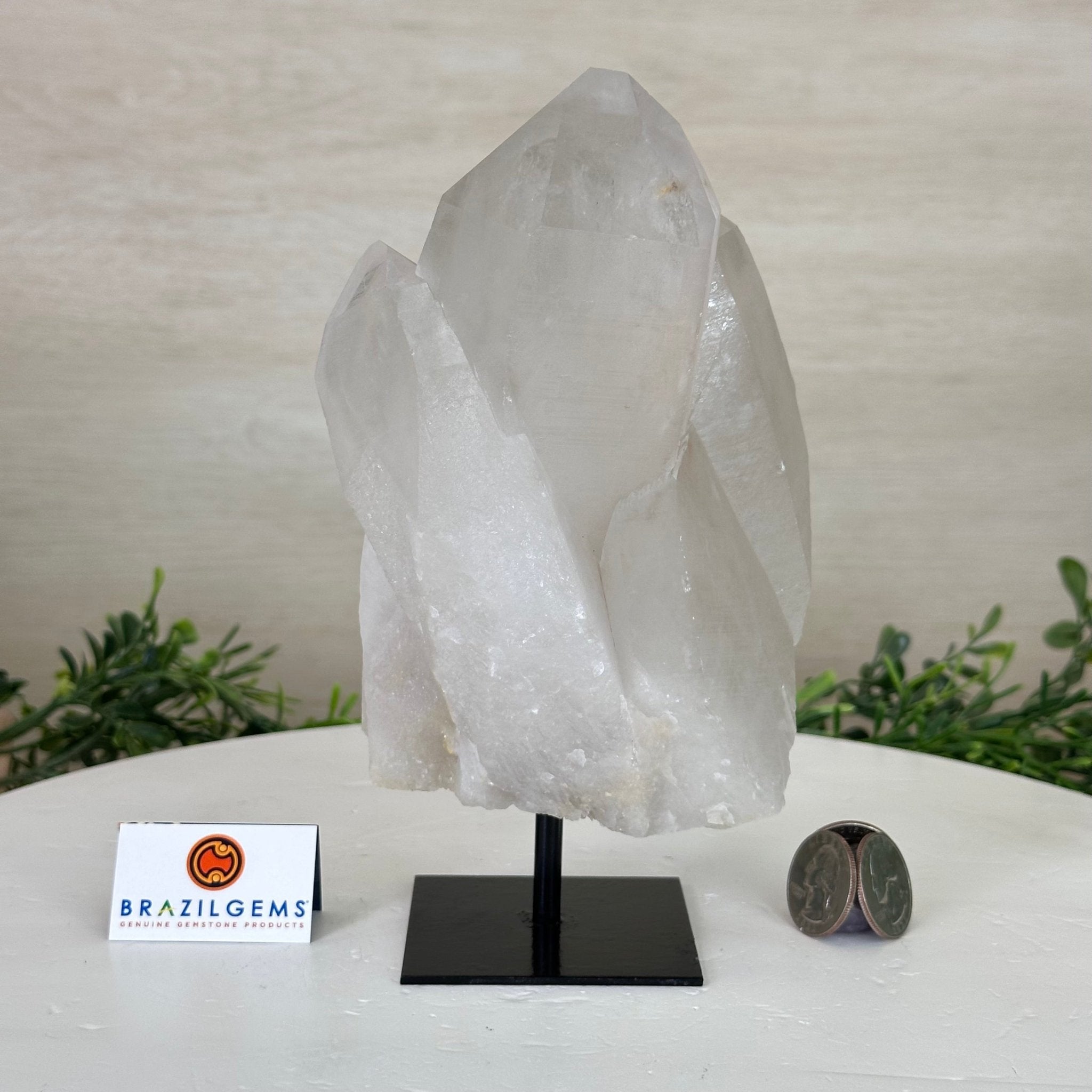 Clear Quartz Crystal Point on a Metal Stand, 3.6 lbs & 7.6" Tall #3122CQ - 016 - Brazil GemsBrazil GemsClear Quartz Crystal Point on a Metal Stand, 3.6 lbs & 7.6" Tall #3122CQ - 016Crystal Points3122CQ - 016