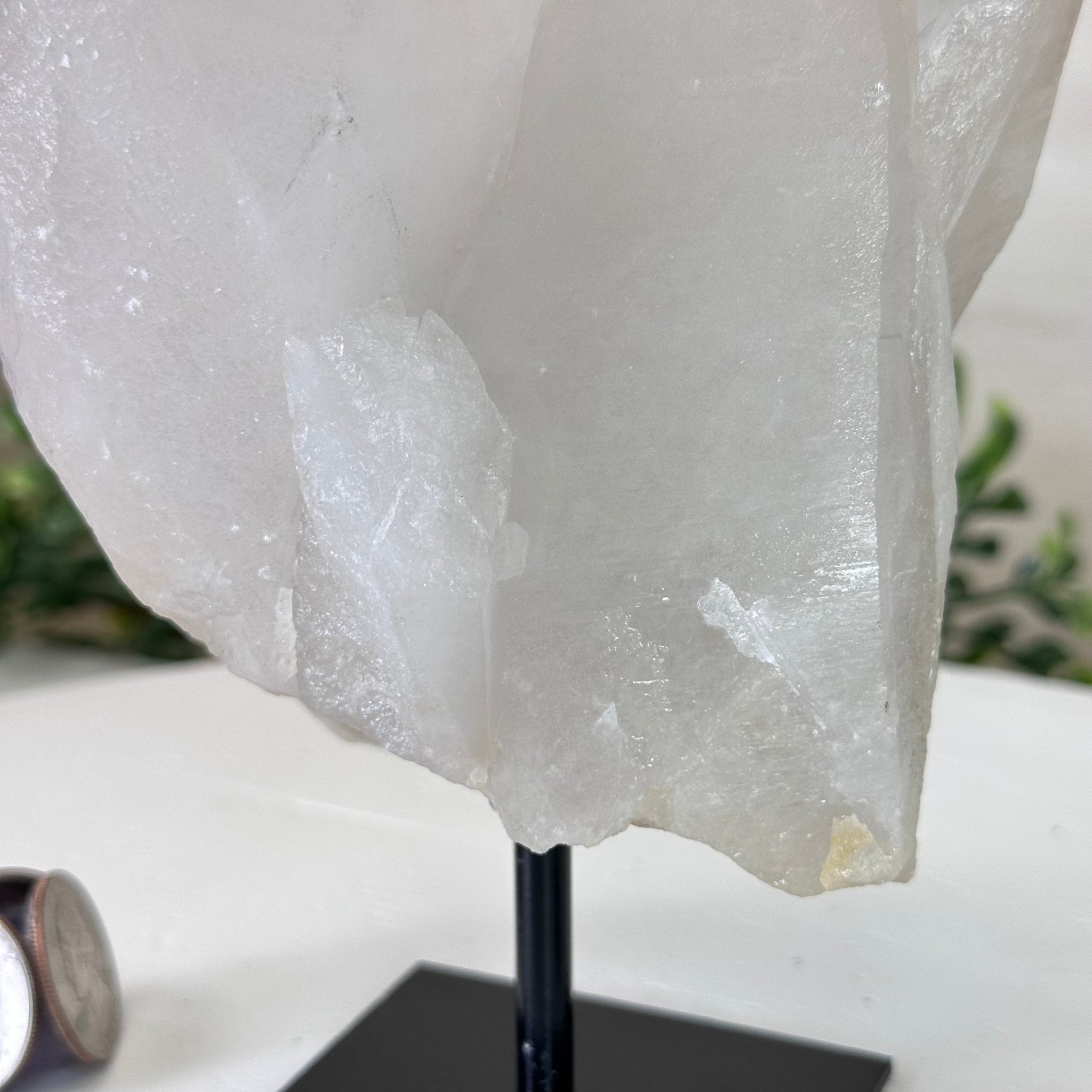 Clear Quartz Crystal Point on a Metal Stand, 3.6 lbs & 7.6" Tall #3122CQ - 016 - Brazil GemsBrazil GemsClear Quartz Crystal Point on a Metal Stand, 3.6 lbs & 7.6" Tall #3122CQ - 016Crystal Points3122CQ - 016