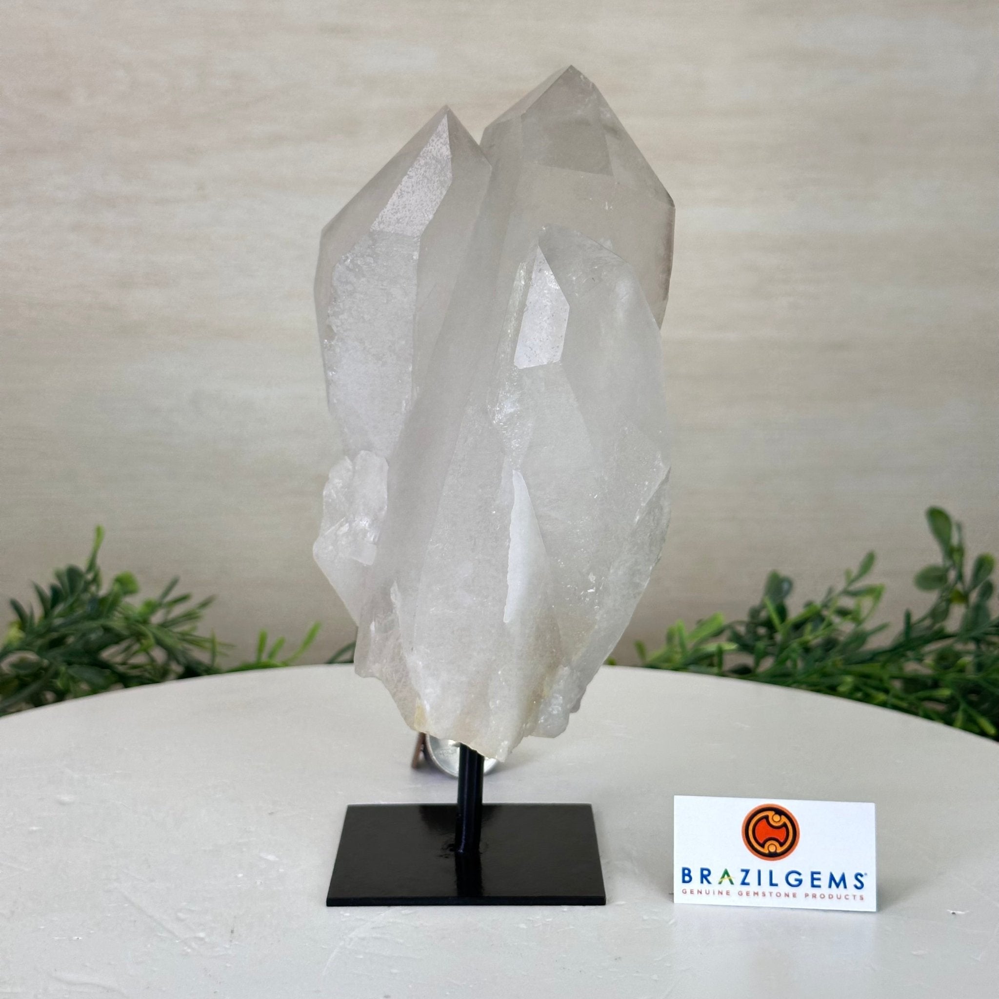 Clear Quartz Crystal Point on a Metal Stand, 3.6 lbs & 7.6" Tall #3122CQ - 016 - Brazil GemsBrazil GemsClear Quartz Crystal Point on a Metal Stand, 3.6 lbs & 7.6" Tall #3122CQ - 016Crystal Points3122CQ - 016