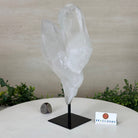 Clear Quartz Crystal Point on a Metal Stand, 3.8 lbs & 10.3" Tall #3122CQ - 025 - Brazil GemsBrazil GemsClear Quartz Crystal Point on a Metal Stand, 3.8 lbs & 10.3" Tall #3122CQ - 025Crystal Points3122CQ - 025