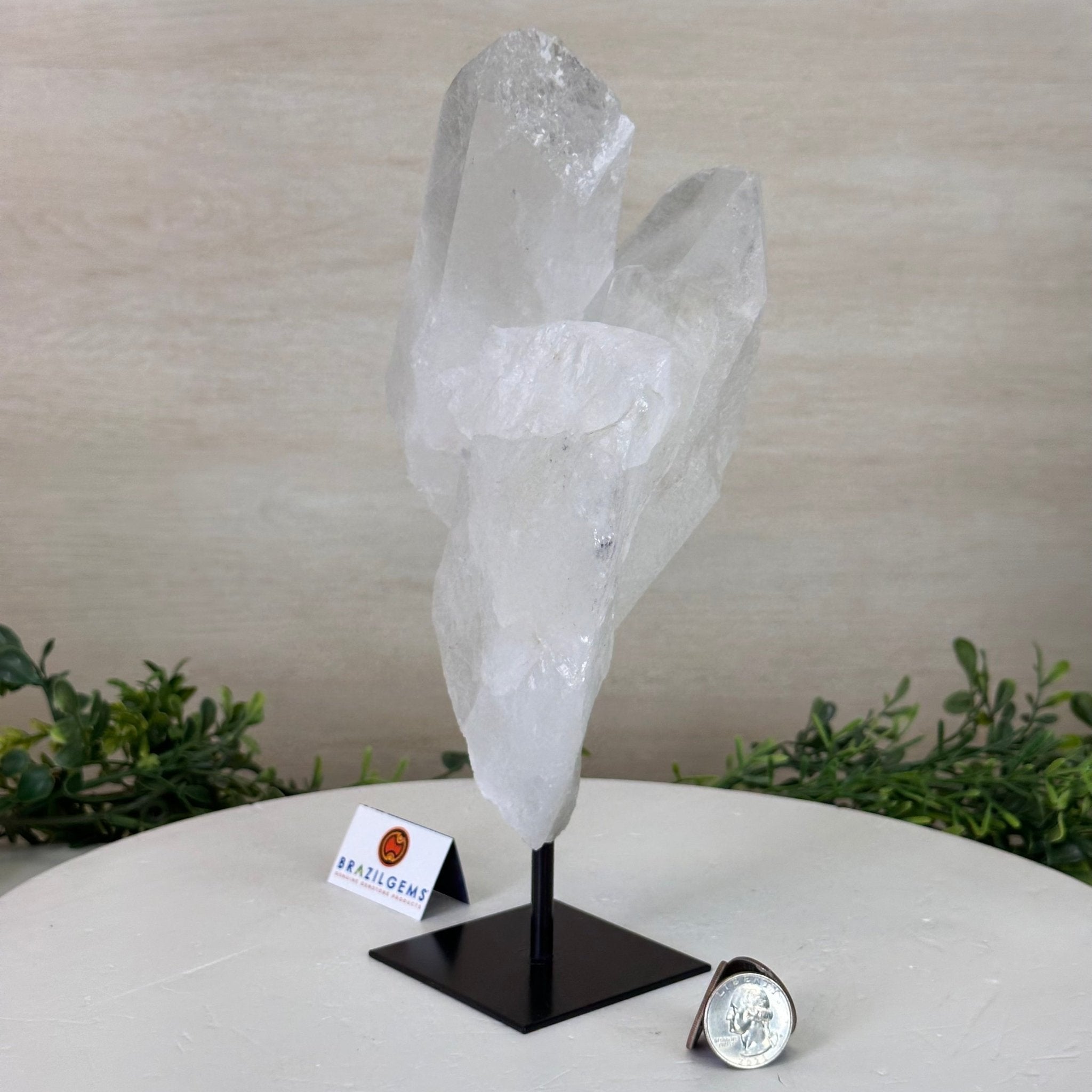 Clear Quartz Crystal Point on a Metal Stand, 3.8 lbs & 10.3" Tall #3122CQ - 025 - Brazil GemsBrazil GemsClear Quartz Crystal Point on a Metal Stand, 3.8 lbs & 10.3" Tall #3122CQ - 025Crystal Points3122CQ - 025