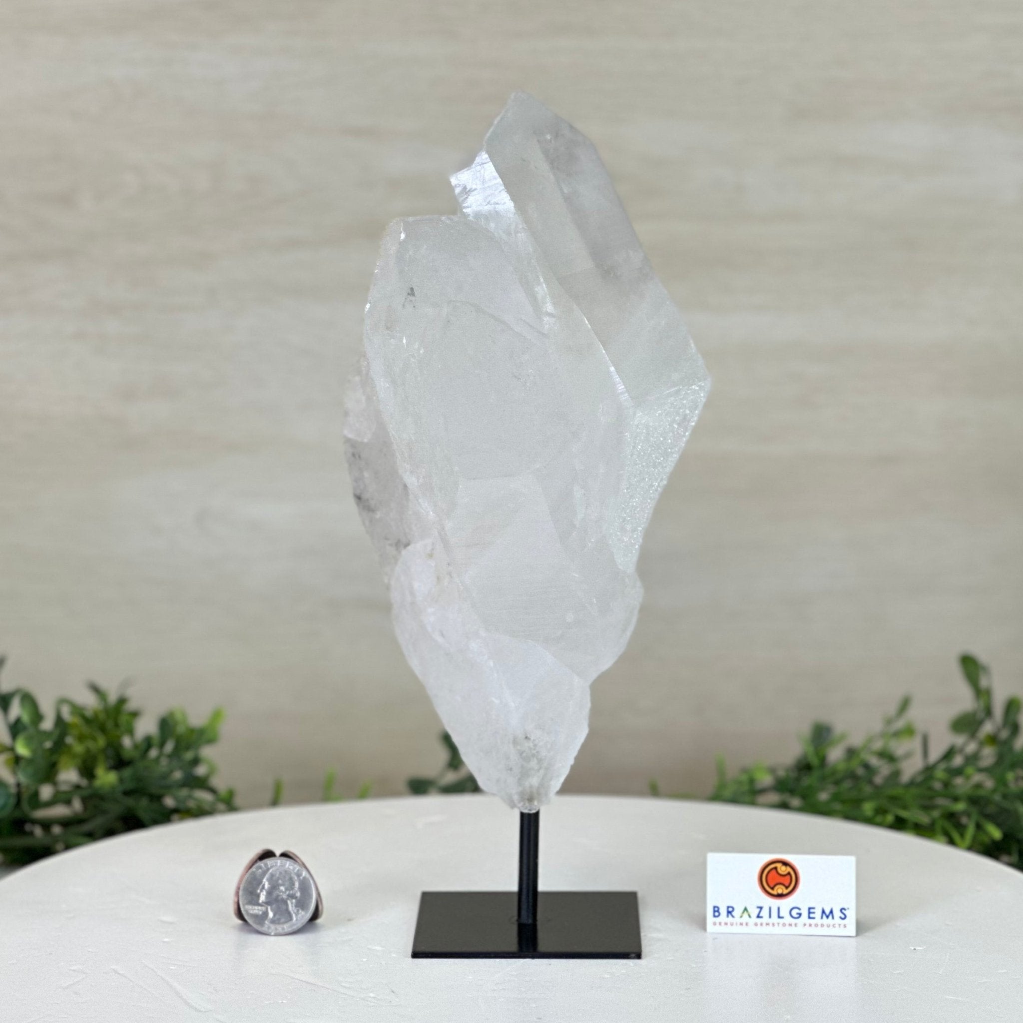 Clear Quartz Crystal Point on a Metal Stand, 3.8 lbs & 10.3" Tall #3122CQ - 025 - Brazil GemsBrazil GemsClear Quartz Crystal Point on a Metal Stand, 3.8 lbs & 10.3" Tall #3122CQ - 025Crystal Points3122CQ - 025