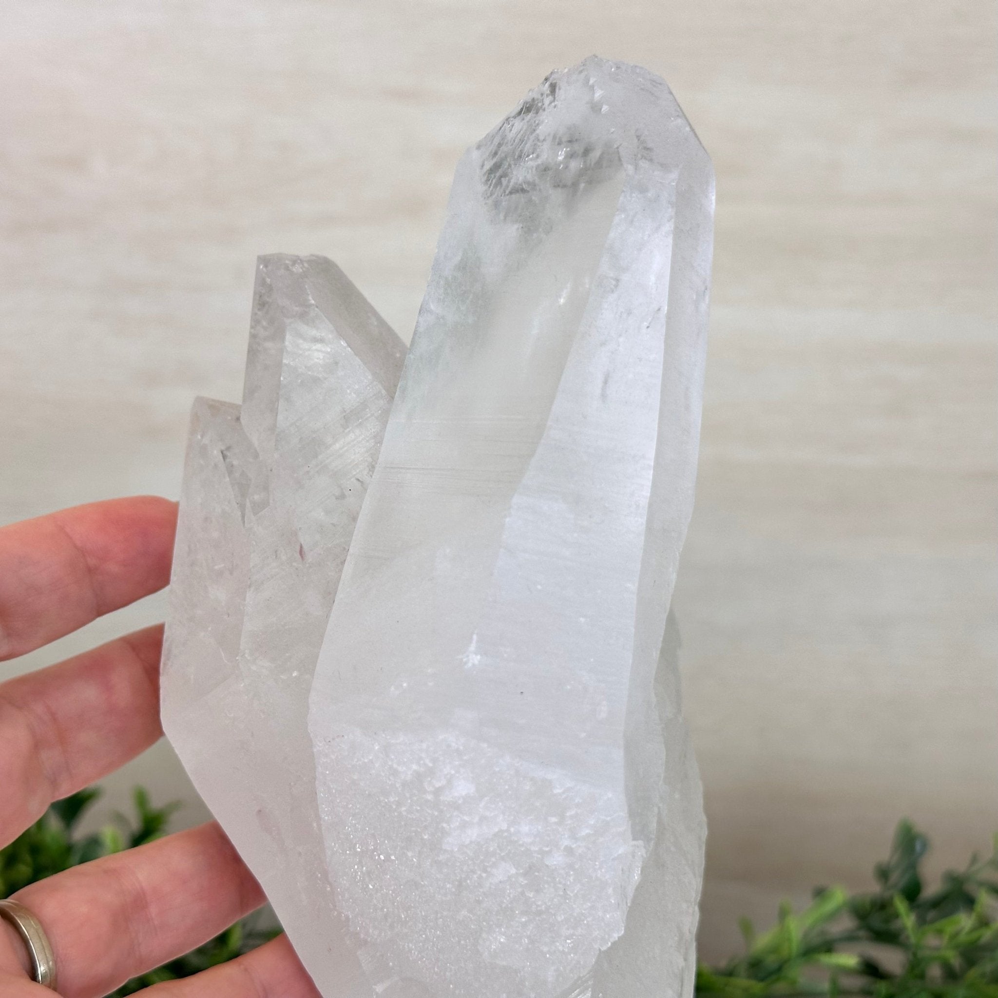 Clear Quartz Crystal Point on a Metal Stand, 3.8 lbs & 10.3" Tall #3122CQ - 025 - Brazil GemsBrazil GemsClear Quartz Crystal Point on a Metal Stand, 3.8 lbs & 10.3" Tall #3122CQ - 025Crystal Points3122CQ - 025