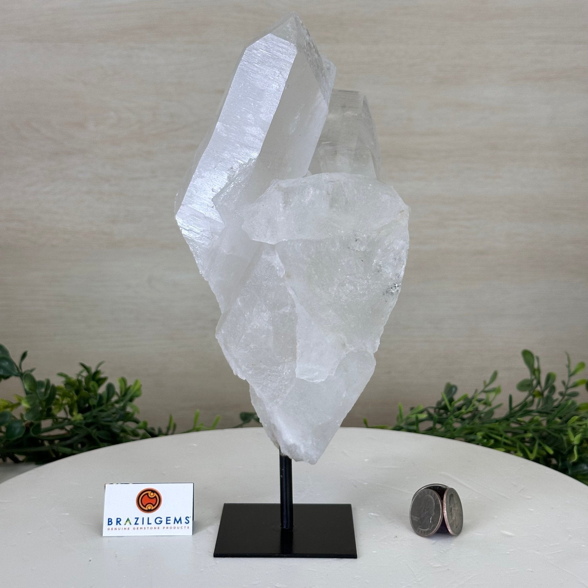 Clear Quartz Crystal Point on a Metal Stand, 3.8 lbs & 10.3" Tall #3122CQ - 025 - Brazil GemsBrazil GemsClear Quartz Crystal Point on a Metal Stand, 3.8 lbs & 10.3" Tall #3122CQ - 025Crystal Points3122CQ - 025