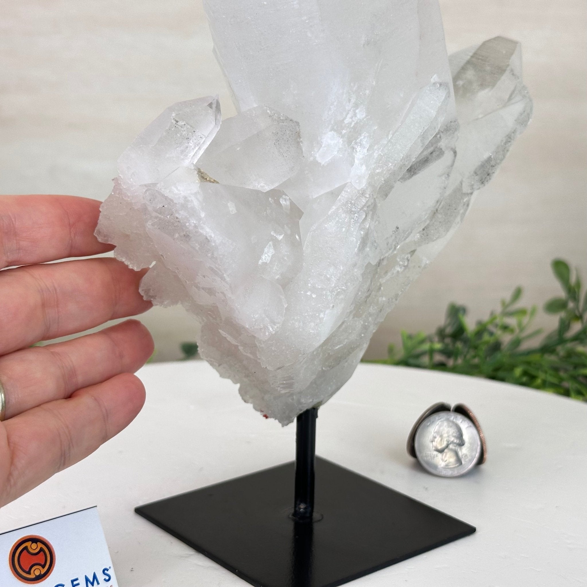 Clear Quartz Crystal Point on a Metal Stand, 4.4 lbs & 10.2" Tall #3122CQ - 026 - Brazil GemsBrazil GemsClear Quartz Crystal Point on a Metal Stand, 4.4 lbs & 10.2" Tall #3122CQ - 026Crystal Points3122CQ - 026