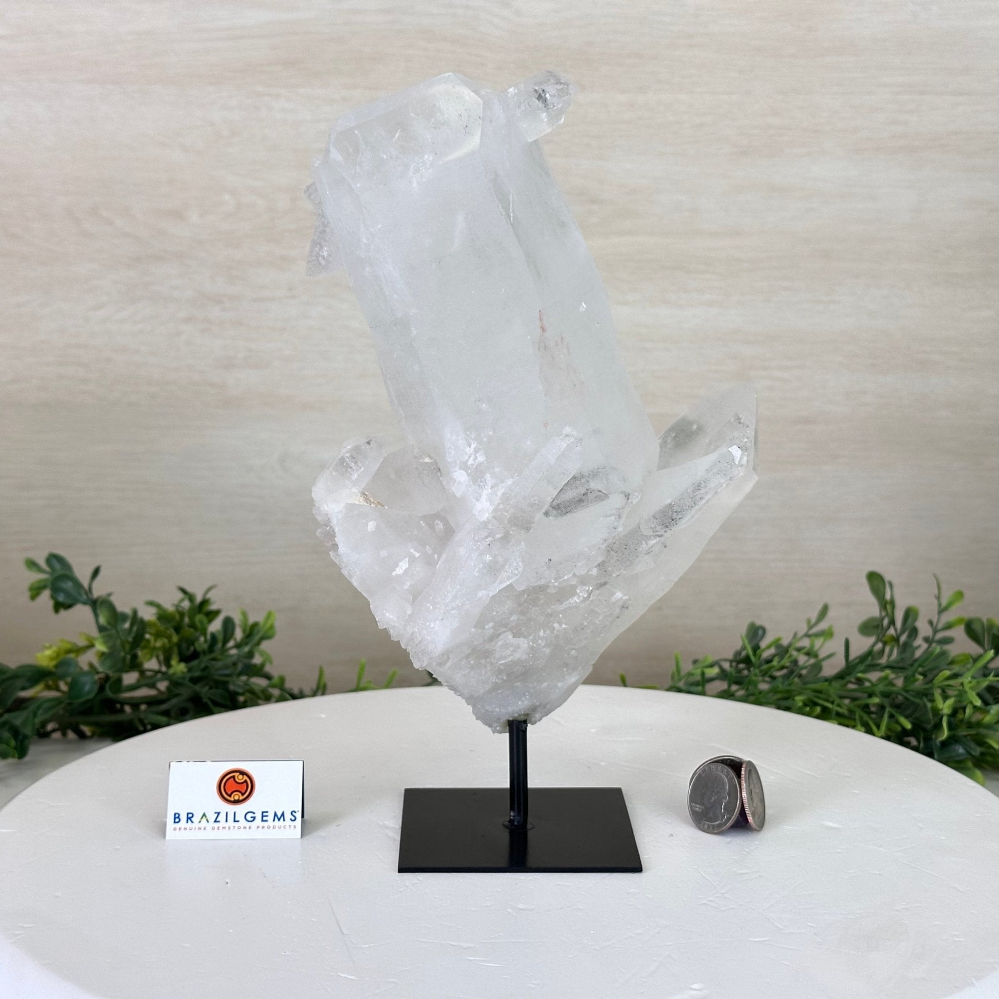 Clear Quartz Crystal Point on a Metal Stand, 4.4 lbs & 10.2" Tall #3122CQ - 026 - Brazil GemsBrazil GemsClear Quartz Crystal Point on a Metal Stand, 4.4 lbs & 10.2" Tall #3122CQ - 026Crystal Points3122CQ - 026