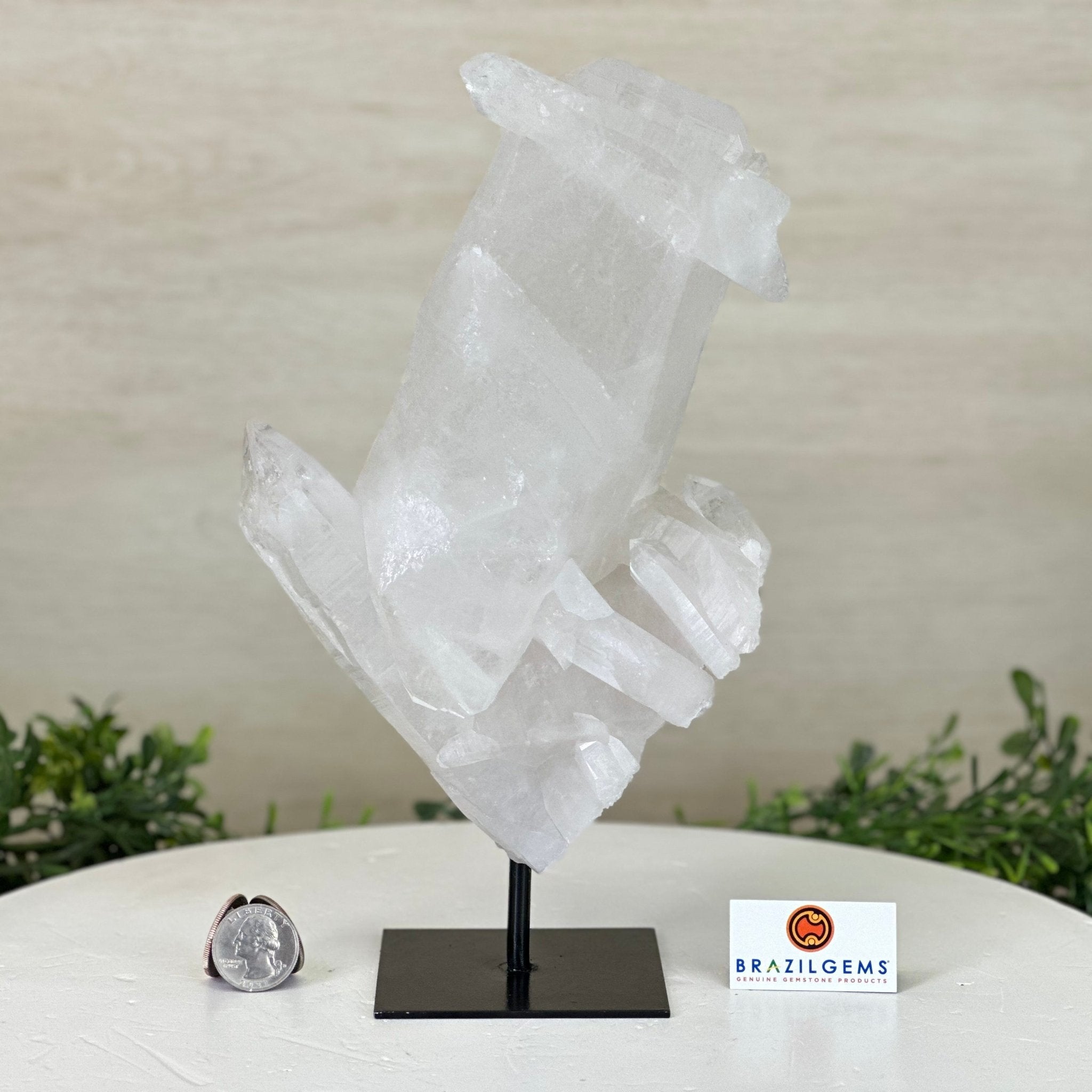 Clear Quartz Crystal Point on a Metal Stand, 4.4 lbs & 10.2" Tall #3122CQ - 026 - Brazil GemsBrazil GemsClear Quartz Crystal Point on a Metal Stand, 4.4 lbs & 10.2" Tall #3122CQ - 026Crystal Points3122CQ - 026