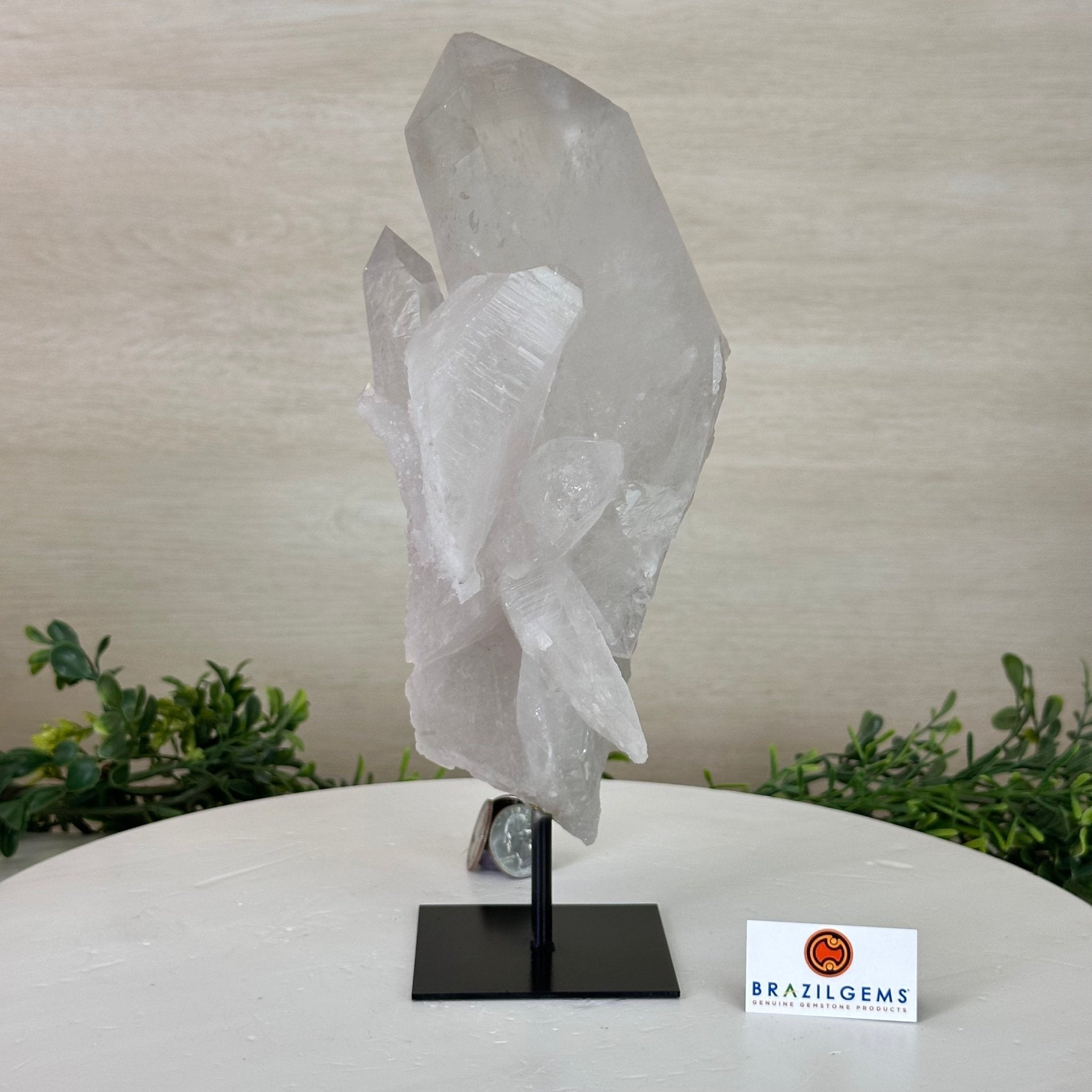 Clear Quartz Crystal Point on a Metal Stand, 5 lbs & 10.4" Tall #3122CQ - 027 - Brazil GemsBrazil GemsClear Quartz Crystal Point on a Metal Stand, 5 lbs & 10.4" Tall #3122CQ - 027Crystal Points3122CQ - 027