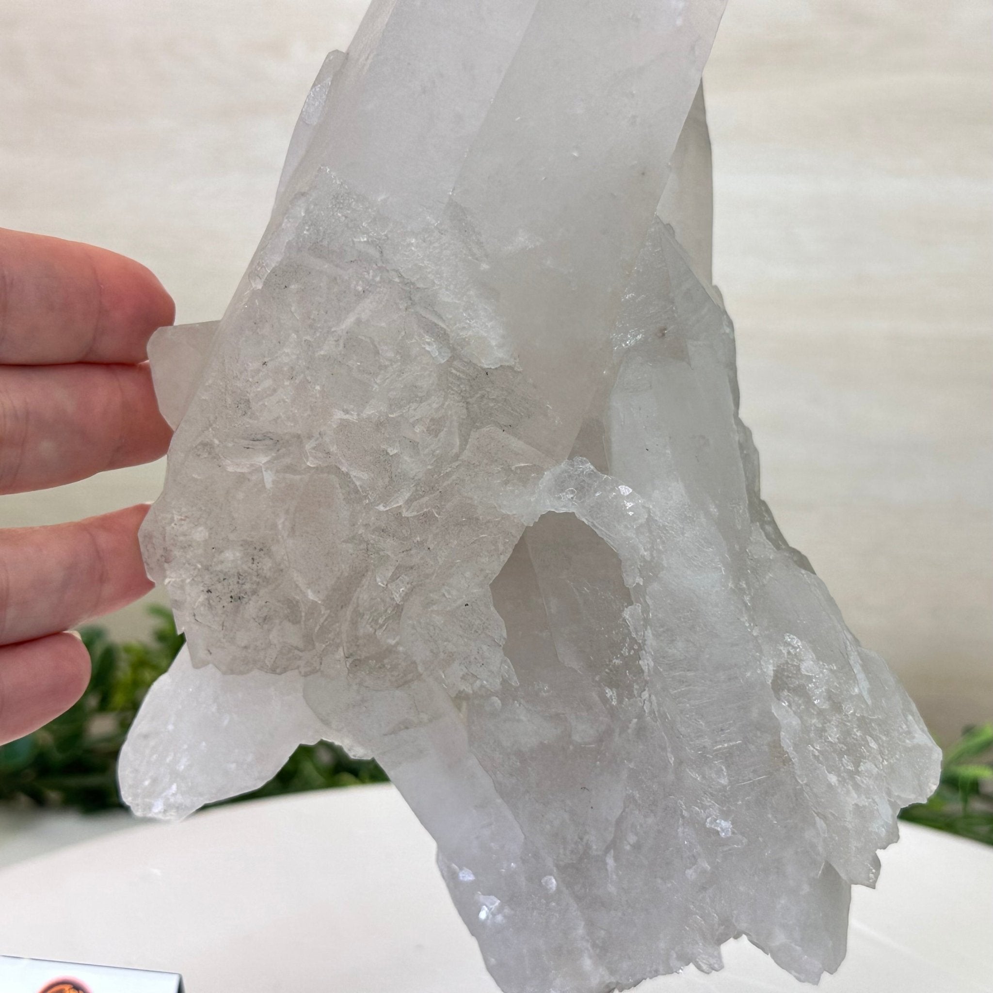 Clear Quartz Crystal Point on a Metal Stand, 5 lbs & 10.4" Tall #3122CQ - 027 - Brazil GemsBrazil GemsClear Quartz Crystal Point on a Metal Stand, 5 lbs & 10.4" Tall #3122CQ - 027Crystal Points3122CQ - 027