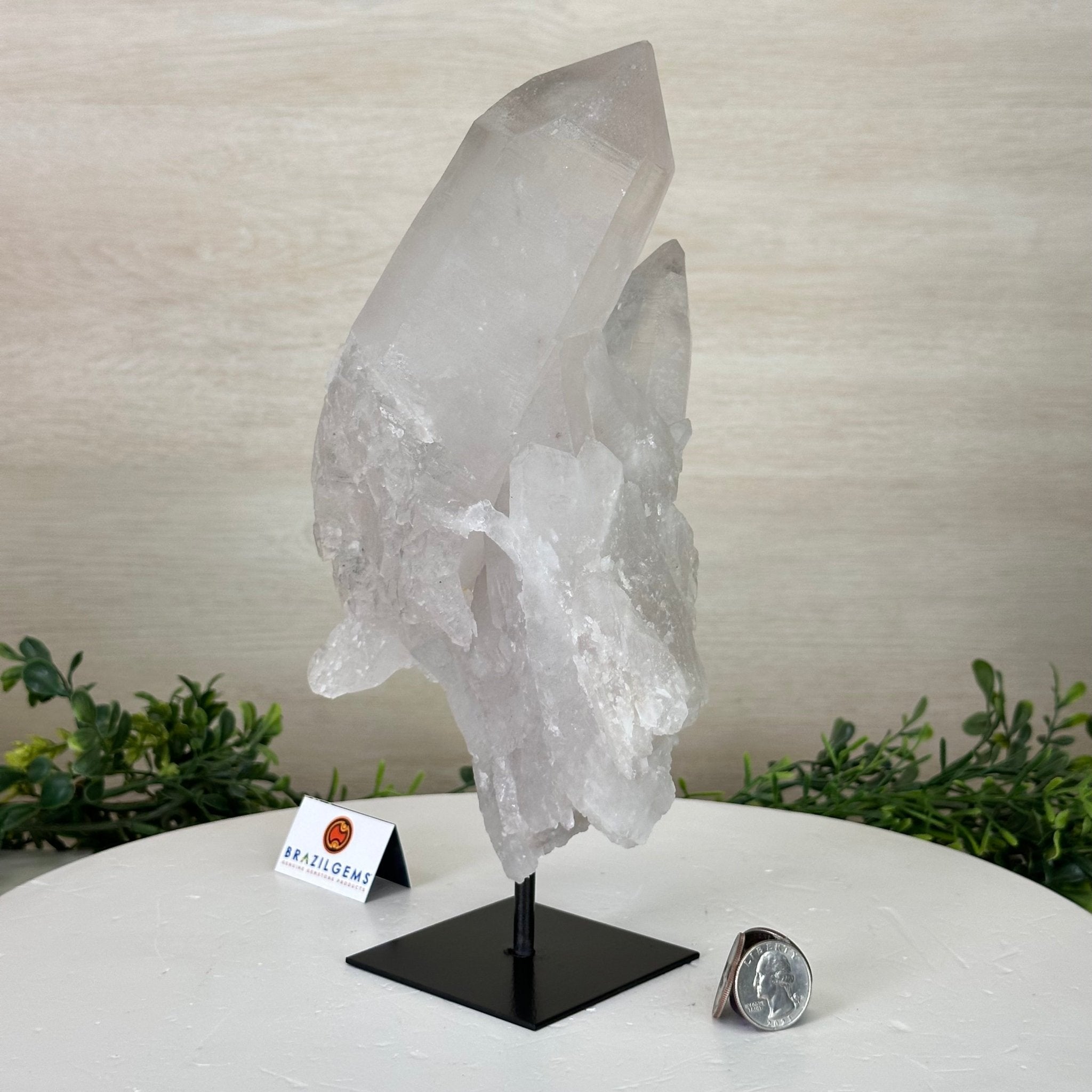 Clear Quartz Crystal Point on a Metal Stand, 5 lbs & 10.4" Tall #3122CQ - 027 - Brazil GemsBrazil GemsClear Quartz Crystal Point on a Metal Stand, 5 lbs & 10.4" Tall #3122CQ - 027Crystal Points3122CQ - 027