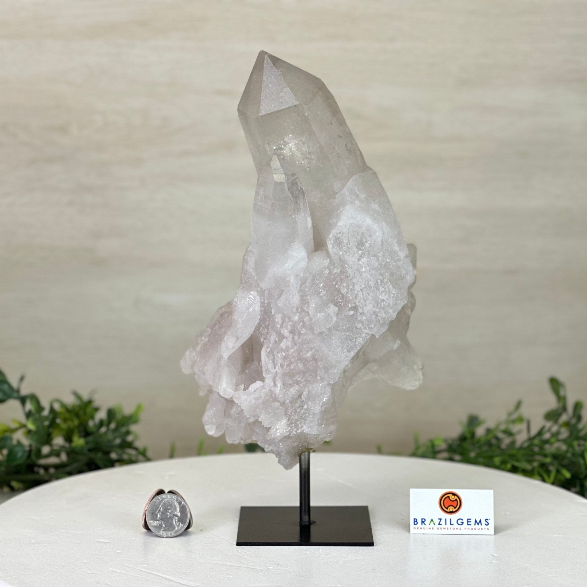 Clear Quartz Crystal Point on a Metal Stand, 5 lbs & 10.4" Tall #3122CQ - 027 - Brazil GemsBrazil GemsClear Quartz Crystal Point on a Metal Stand, 5 lbs & 10.4" Tall #3122CQ - 027Crystal Points3122CQ - 027