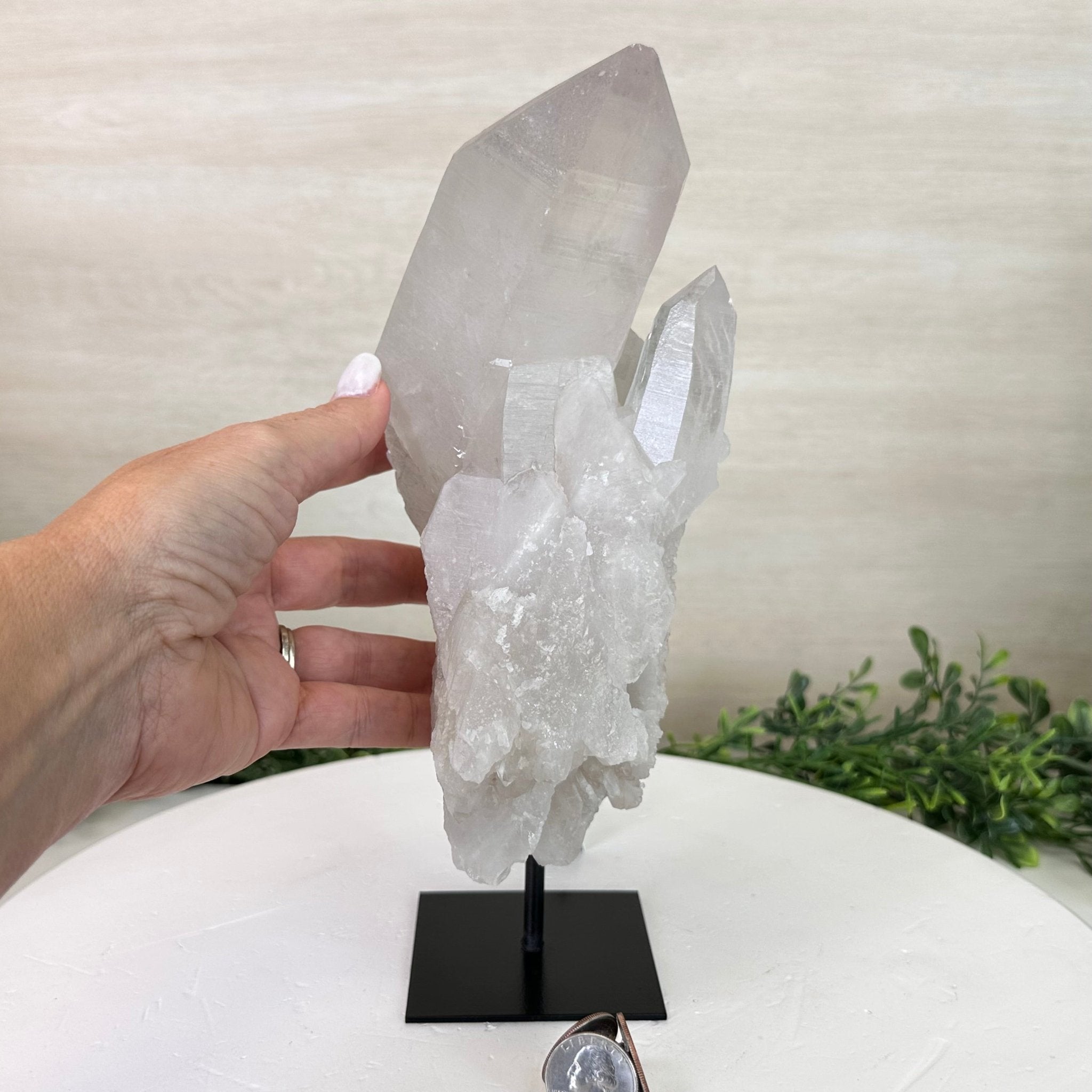 Clear Quartz Crystal Point on a Metal Stand, 5 lbs & 10.4" Tall #3122CQ - 027 - Brazil GemsBrazil GemsClear Quartz Crystal Point on a Metal Stand, 5 lbs & 10.4" Tall #3122CQ - 027Crystal Points3122CQ - 027