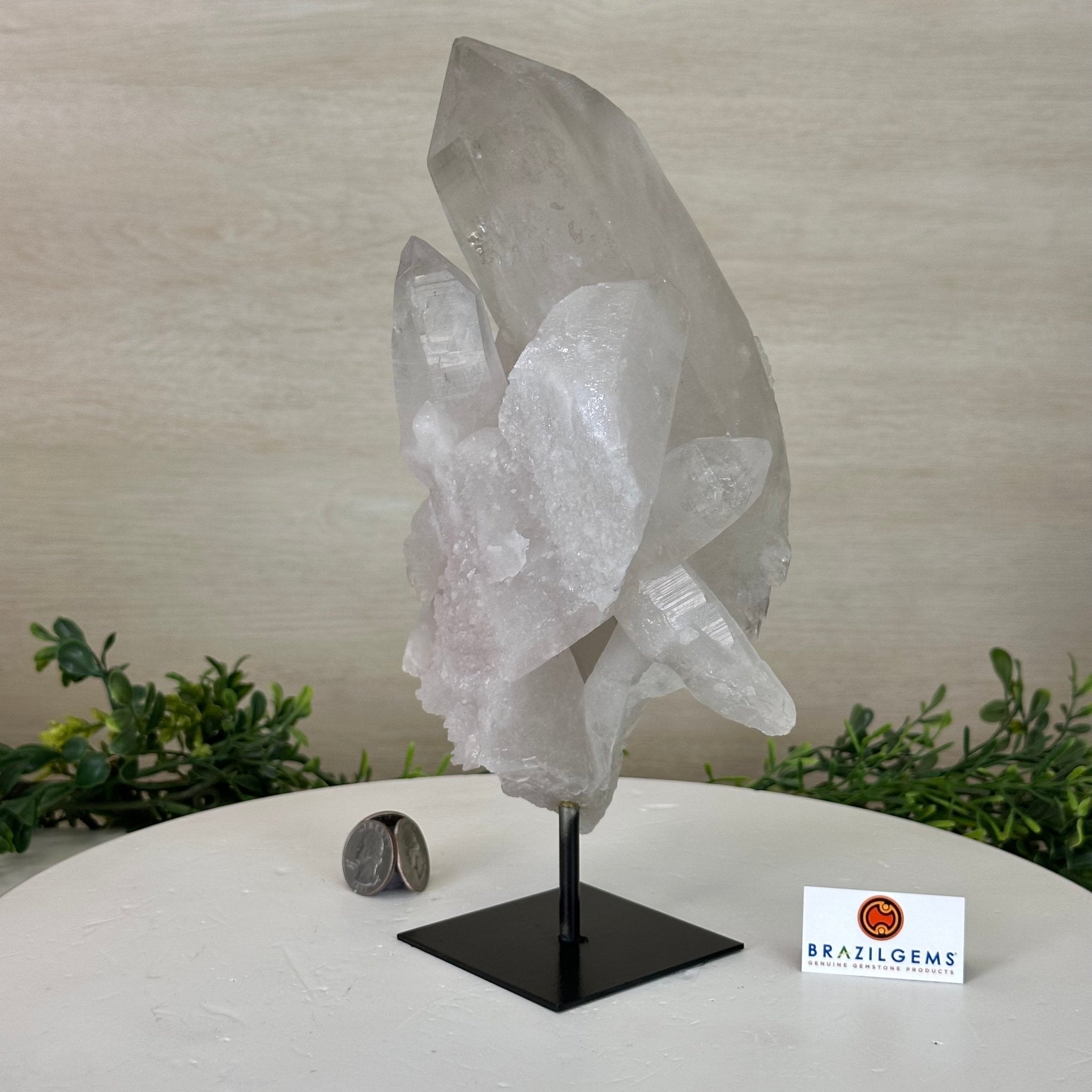 Clear Quartz Crystal Point on a Metal Stand, 5 lbs & 10.4" Tall #3122CQ - 027 - Brazil GemsBrazil GemsClear Quartz Crystal Point on a Metal Stand, 5 lbs & 10.4" Tall #3122CQ - 027Crystal Points3122CQ - 027