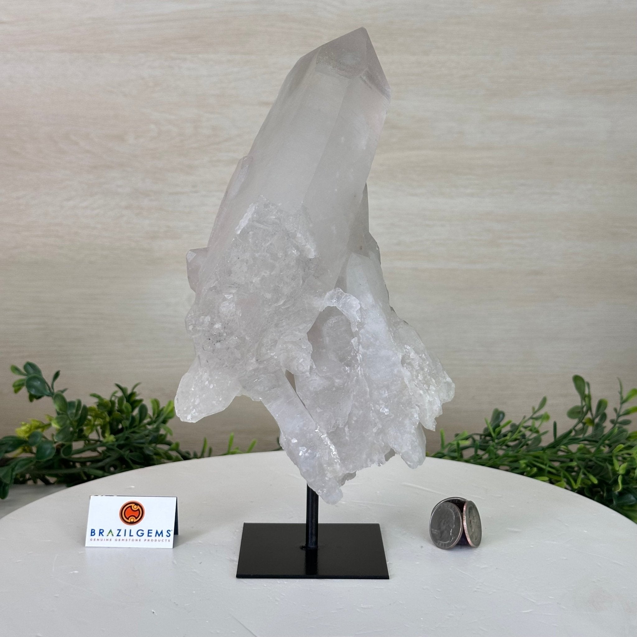 Clear Quartz Crystal Point on a Metal Stand, 5 lbs & 10.4" Tall #3122CQ - 027 - Brazil GemsBrazil GemsClear Quartz Crystal Point on a Metal Stand, 5 lbs & 10.4" Tall #3122CQ - 027Crystal Points3122CQ - 027