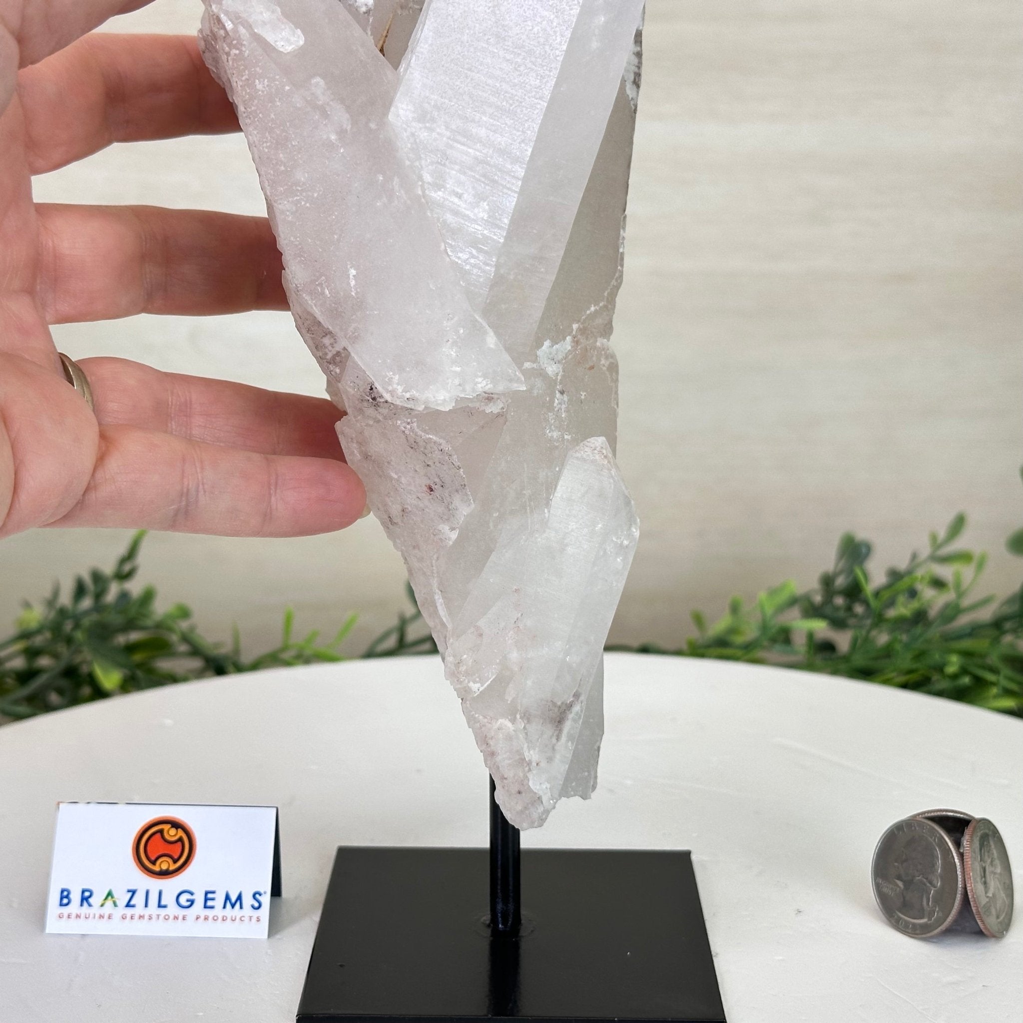 Clear Quartz Crystal Point on a Metal Stand, 5.1 lbs & 12.6" Tall #3122CQ - 017 - Brazil GemsBrazil GemsClear Quartz Crystal Point on a Metal Stand, 5.1 lbs & 12.6" Tall #3122CQ - 017Crystal Points3122CQ - 017