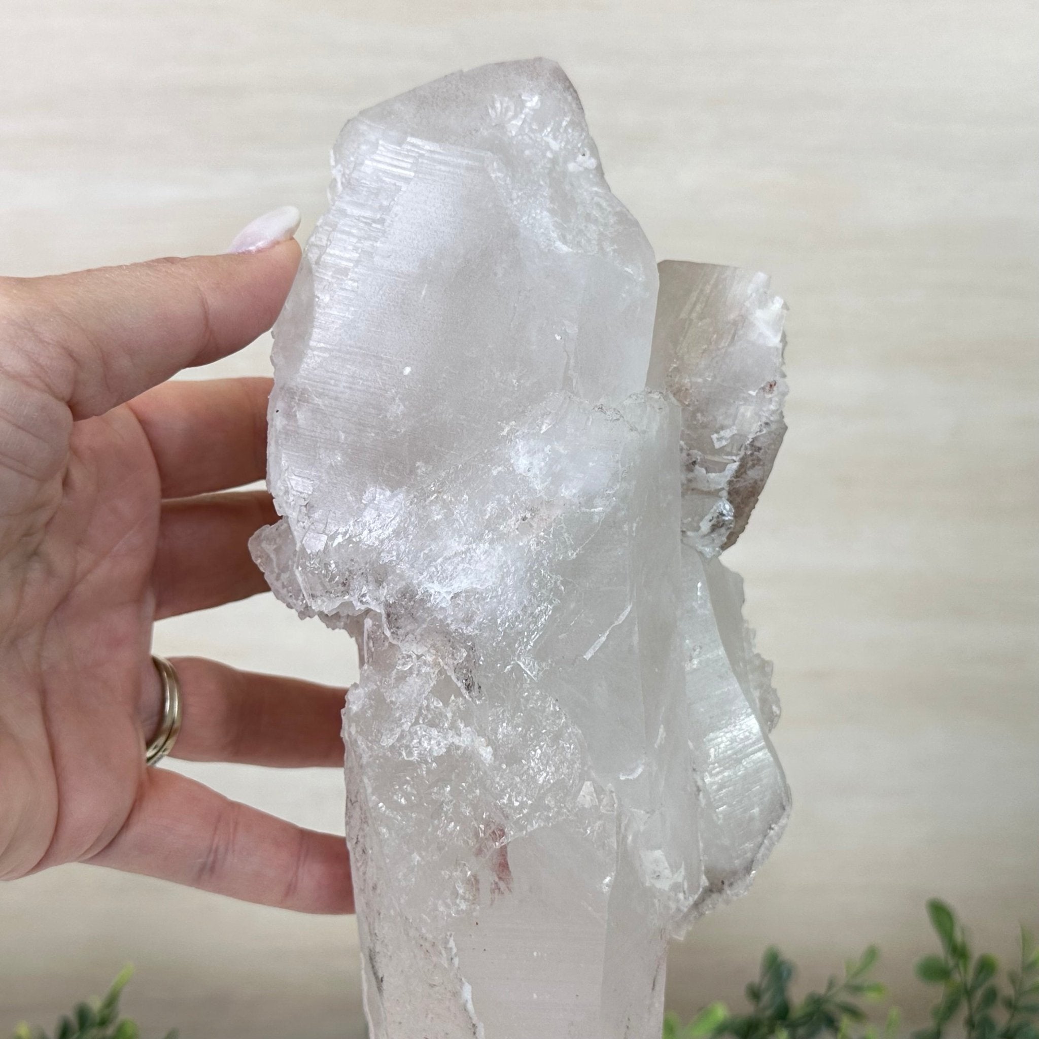 Clear Quartz Crystal Point on a Metal Stand, 5.1 lbs & 12.6" Tall #3122CQ - 017 - Brazil GemsBrazil GemsClear Quartz Crystal Point on a Metal Stand, 5.1 lbs & 12.6" Tall #3122CQ - 017Crystal Points3122CQ - 017