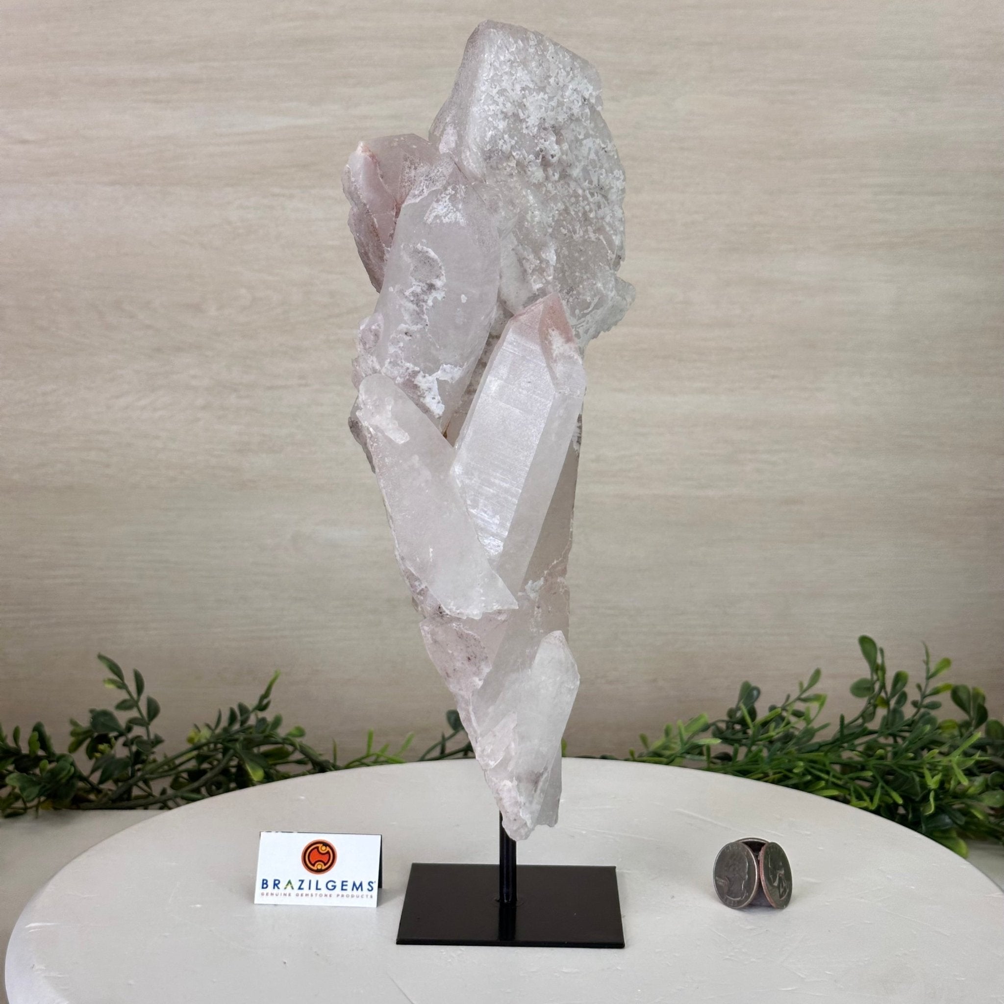 Clear Quartz Crystal Point on a Metal Stand, 5.1 lbs & 12.6" Tall #3122CQ - 017 - Brazil GemsBrazil GemsClear Quartz Crystal Point on a Metal Stand, 5.1 lbs & 12.6" Tall #3122CQ - 017Crystal Points3122CQ - 017