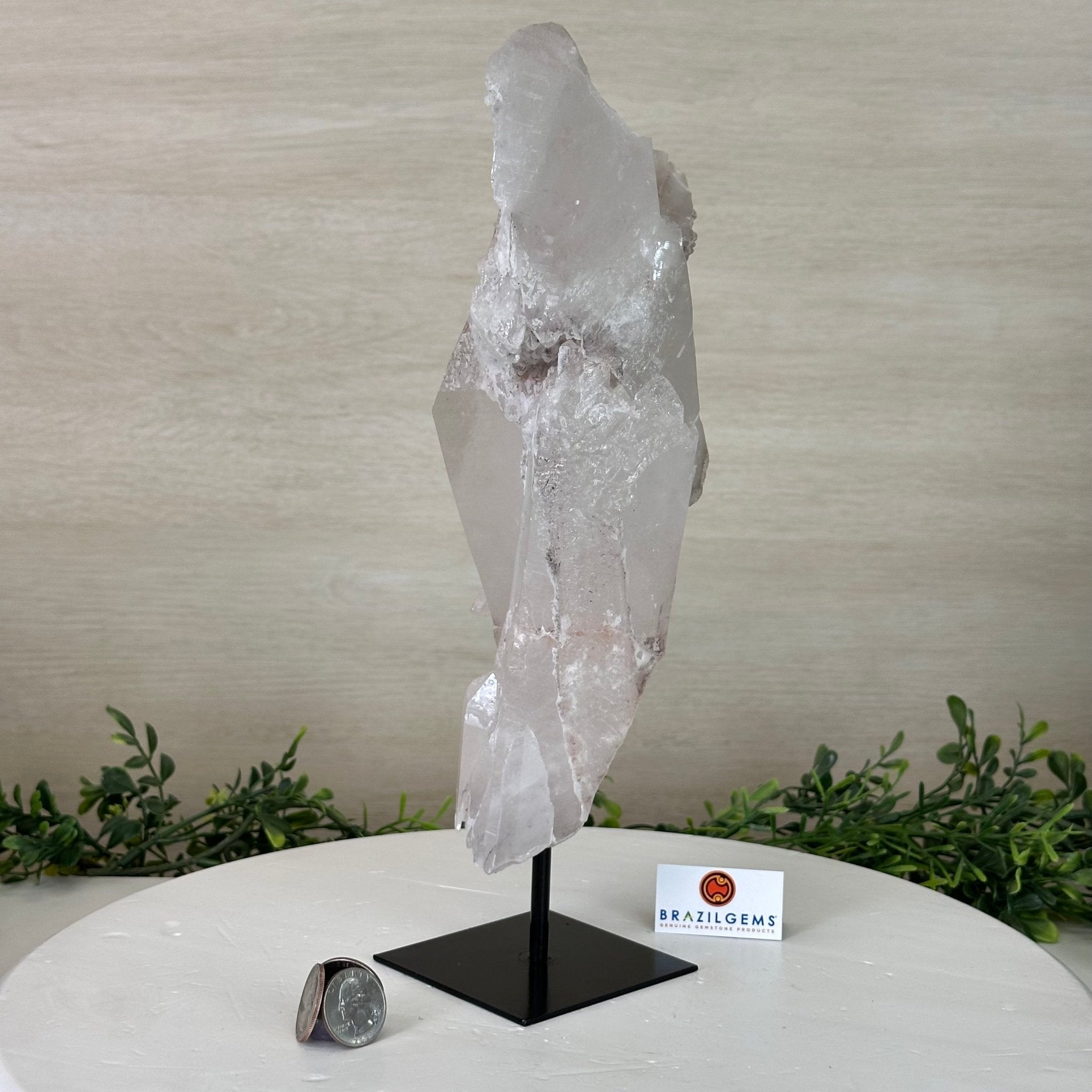 Clear Quartz Crystal Point on a Metal Stand, 5.1 lbs & 12.6" Tall #3122CQ - 017 - Brazil GemsBrazil GemsClear Quartz Crystal Point on a Metal Stand, 5.1 lbs & 12.6" Tall #3122CQ - 017Crystal Points3122CQ - 017