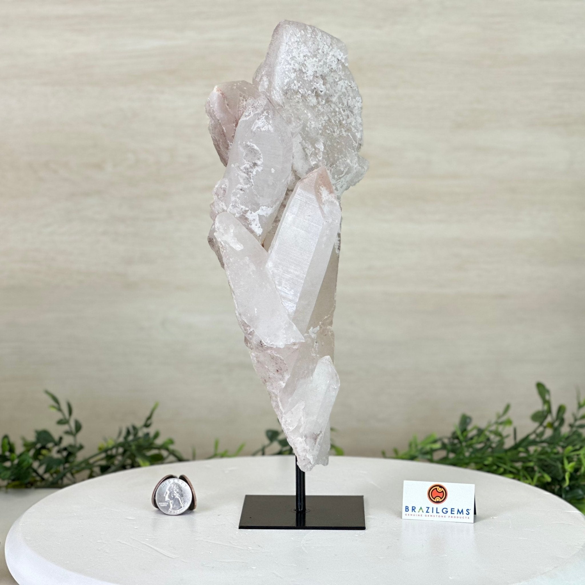 Clear Quartz Crystal Point on a Metal Stand, 5.1 lbs & 12.6" Tall #3122CQ - 017 - Brazil GemsBrazil GemsClear Quartz Crystal Point on a Metal Stand, 5.1 lbs & 12.6" Tall #3122CQ - 017Crystal Points3122CQ - 017