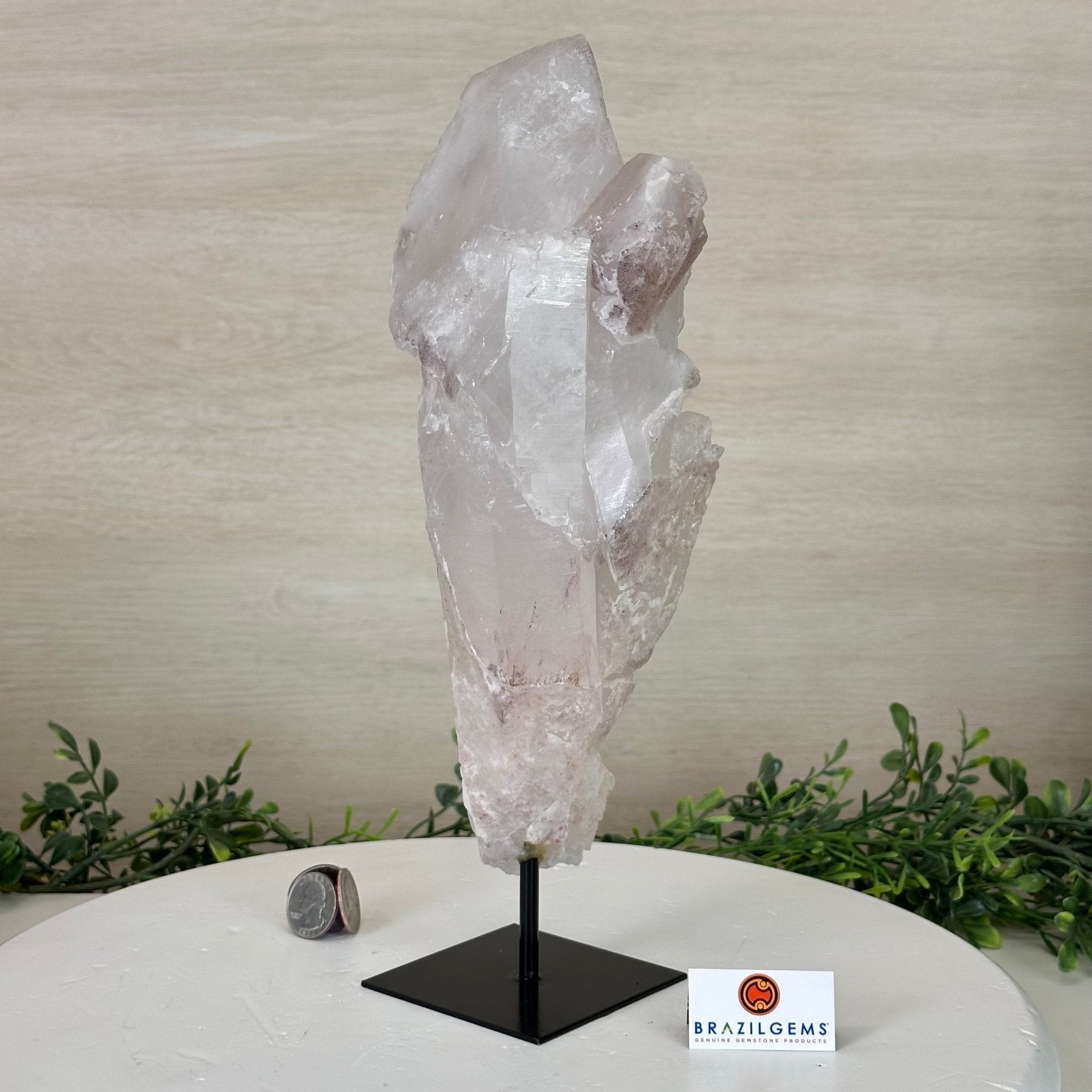 Clear Quartz Crystal Point on a Metal Stand, 5.1 lbs & 12.6" Tall #3122CQ - 017 - Brazil GemsBrazil GemsClear Quartz Crystal Point on a Metal Stand, 5.1 lbs & 12.6" Tall #3122CQ - 017Crystal Points3122CQ - 017