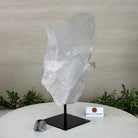 Clear Quartz Crystal Point on a Metal Stand, 8.2 lbs & 10.6" Tall #3122CQ - 018 - Brazil GemsBrazil GemsClear Quartz Crystal Point on a Metal Stand, 8.2 lbs & 10.6" Tall #3122CQ - 018Crystal Points