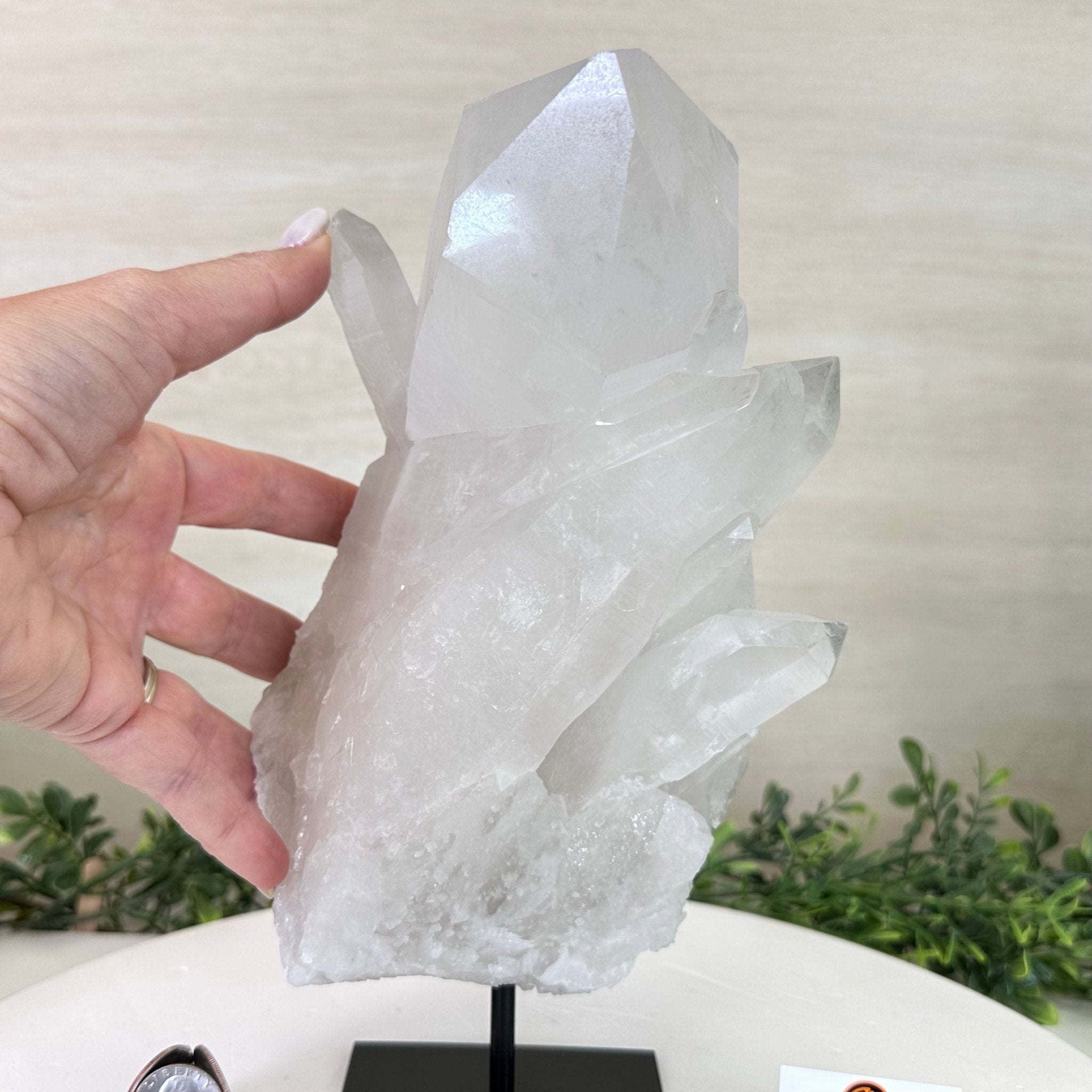 Clear Quartz Crystal Point on a Metal Stand, 8.2 lbs & 10.6" Tall #3122CQ - 018 - Brazil GemsBrazil GemsClear Quartz Crystal Point on a Metal Stand, 8.2 lbs & 10.6" Tall #3122CQ - 018Crystal Points