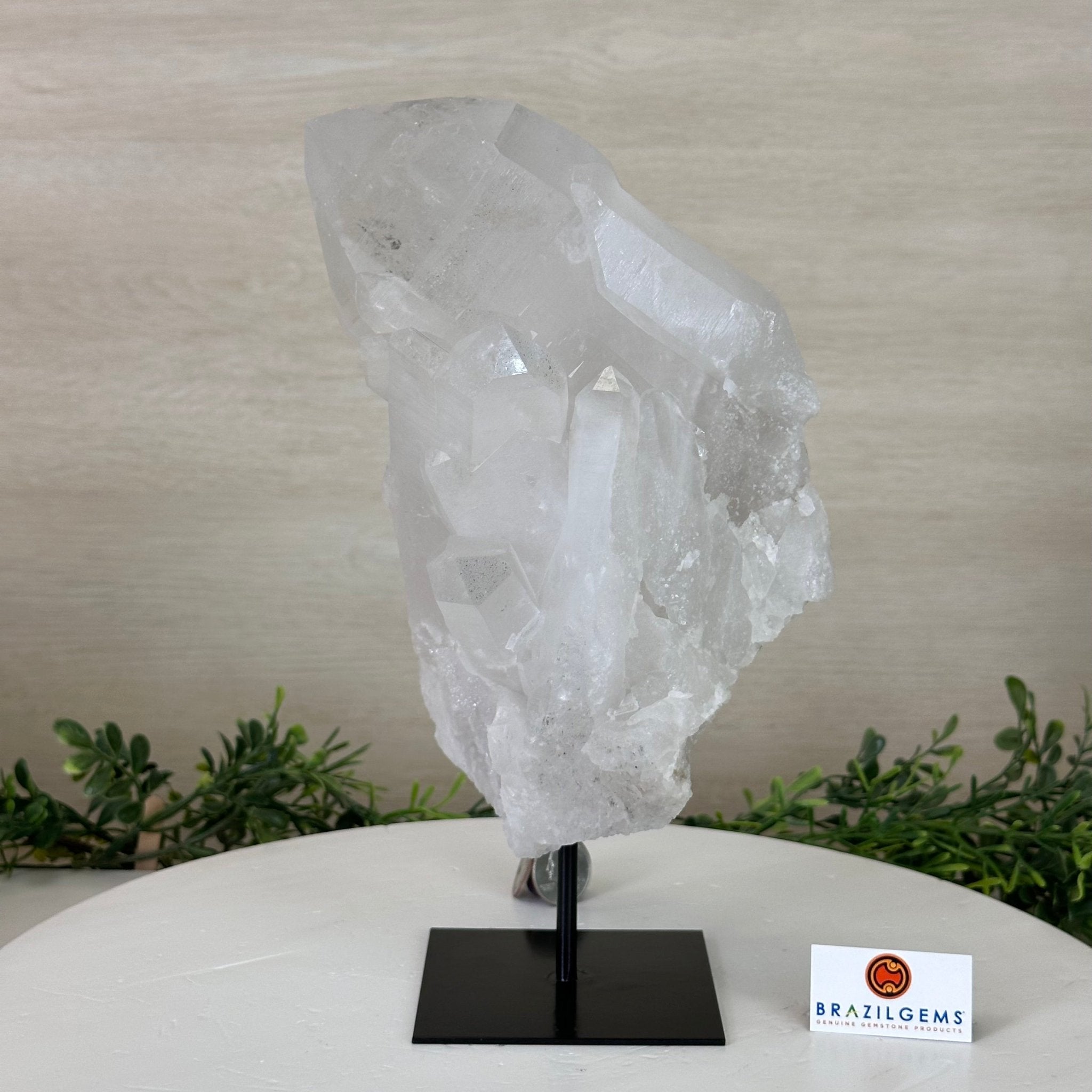 Clear Quartz Crystal Point on a Metal Stand, 8.2 lbs & 10.6" Tall #3122CQ - 018 - Brazil GemsBrazil GemsClear Quartz Crystal Point on a Metal Stand, 8.2 lbs & 10.6" Tall #3122CQ - 018Crystal Points