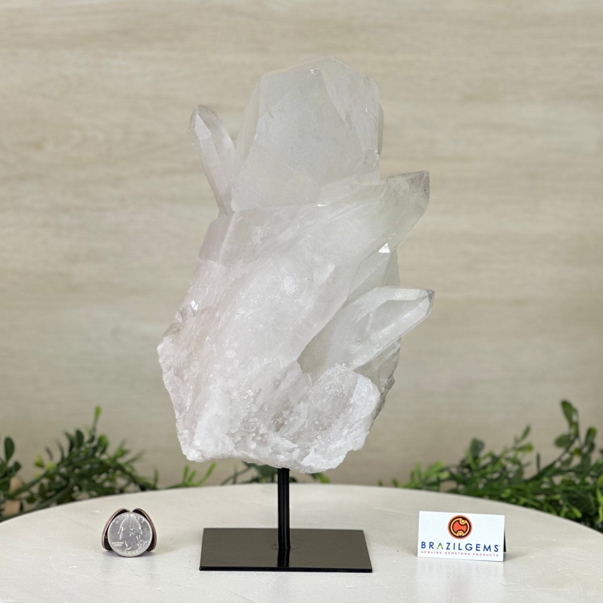 Clear Quartz Crystal Point on a Metal Stand, 8.2 lbs & 10.6" Tall #3122CQ - 018 - Brazil GemsBrazil GemsClear Quartz Crystal Point on a Metal Stand, 8.2 lbs & 10.6" Tall #3122CQ - 018Crystal Points