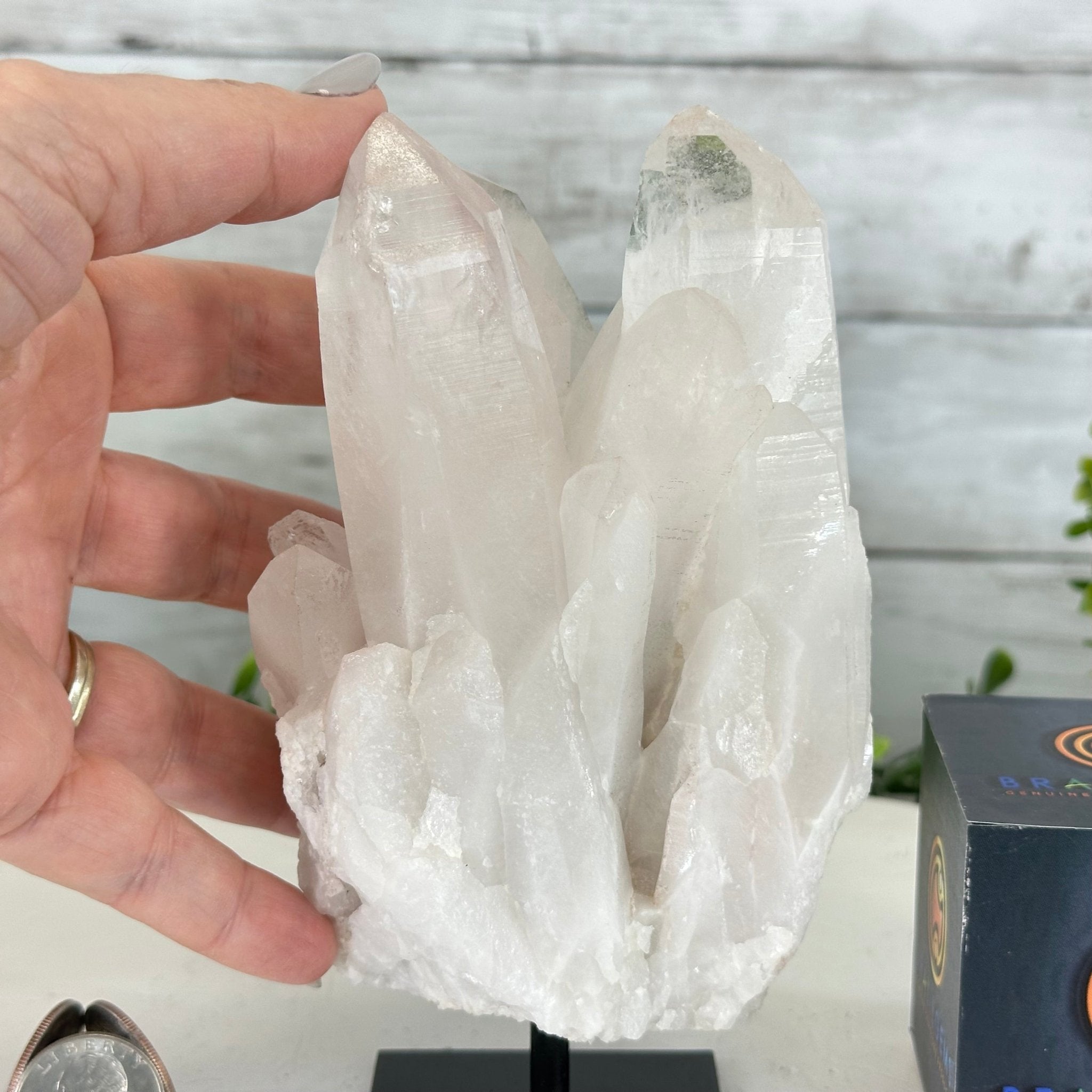 Clear Quartz Crystal Point on Fixed Base, 2.3 lbs & 6.7" Tall #3122CQ-006 - Brazil GemsBrazil GemsClear Quartz Crystal Point on Fixed Base, 2.3 lbs & 6.7" Tall #3122CQ-006Crystal Points3122CQ-006