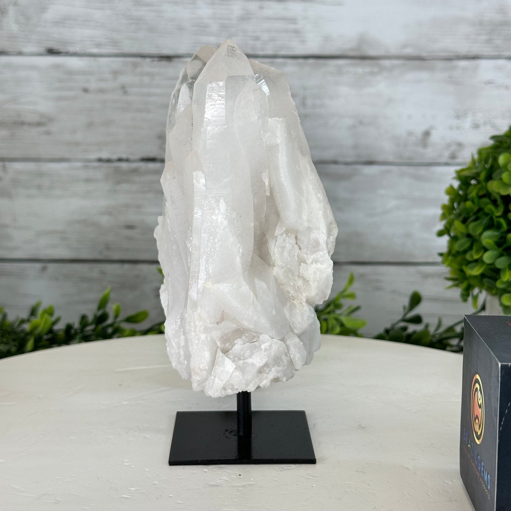 Clear Quartz Crystal Point on Fixed Base, 2.3 lbs & 6.7" Tall #3122CQ-006 - Brazil GemsBrazil GemsClear Quartz Crystal Point on Fixed Base, 2.3 lbs & 6.7" Tall #3122CQ-006Crystal Points3122CQ-006