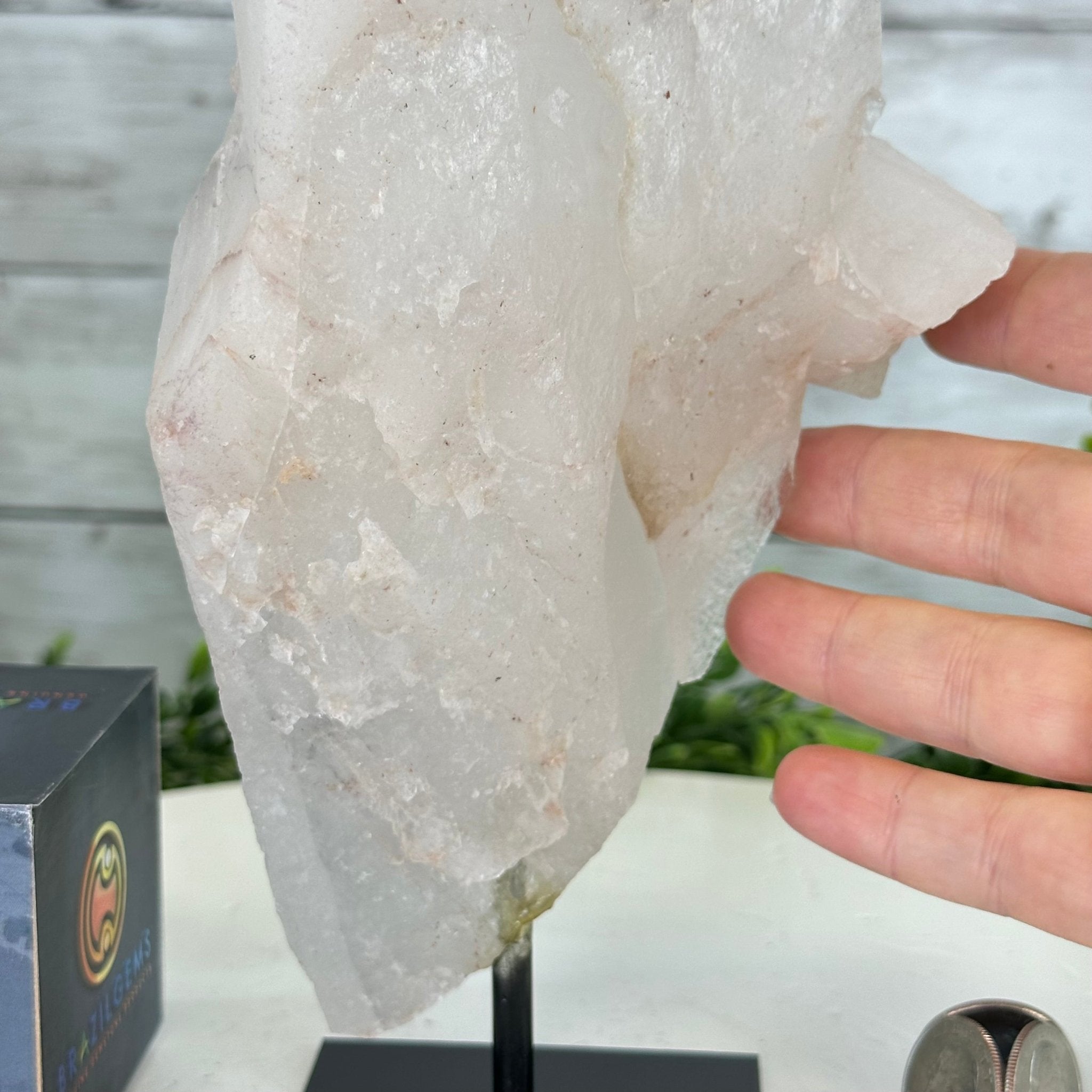Clear Quartz Crystal Point on Fixed Base, 4.6 lbs & 11.0" Tall #3122CQ-008 - Brazil GemsBrazil GemsClear Quartz Crystal Point on Fixed Base, 4.6 lbs & 11.0" Tall #3122CQ-008Crystal Points3122CQ-008