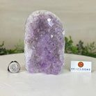 Drusy Amethyst Night Light 2.9 lbs & 5.5" Tall #5800AM - 006 - Brazil GemsBrazil GemsDrusy Amethyst Night Light 2.9 lbs & 5.5" Tall #5800AM - 006Night Lights5800AM - 006