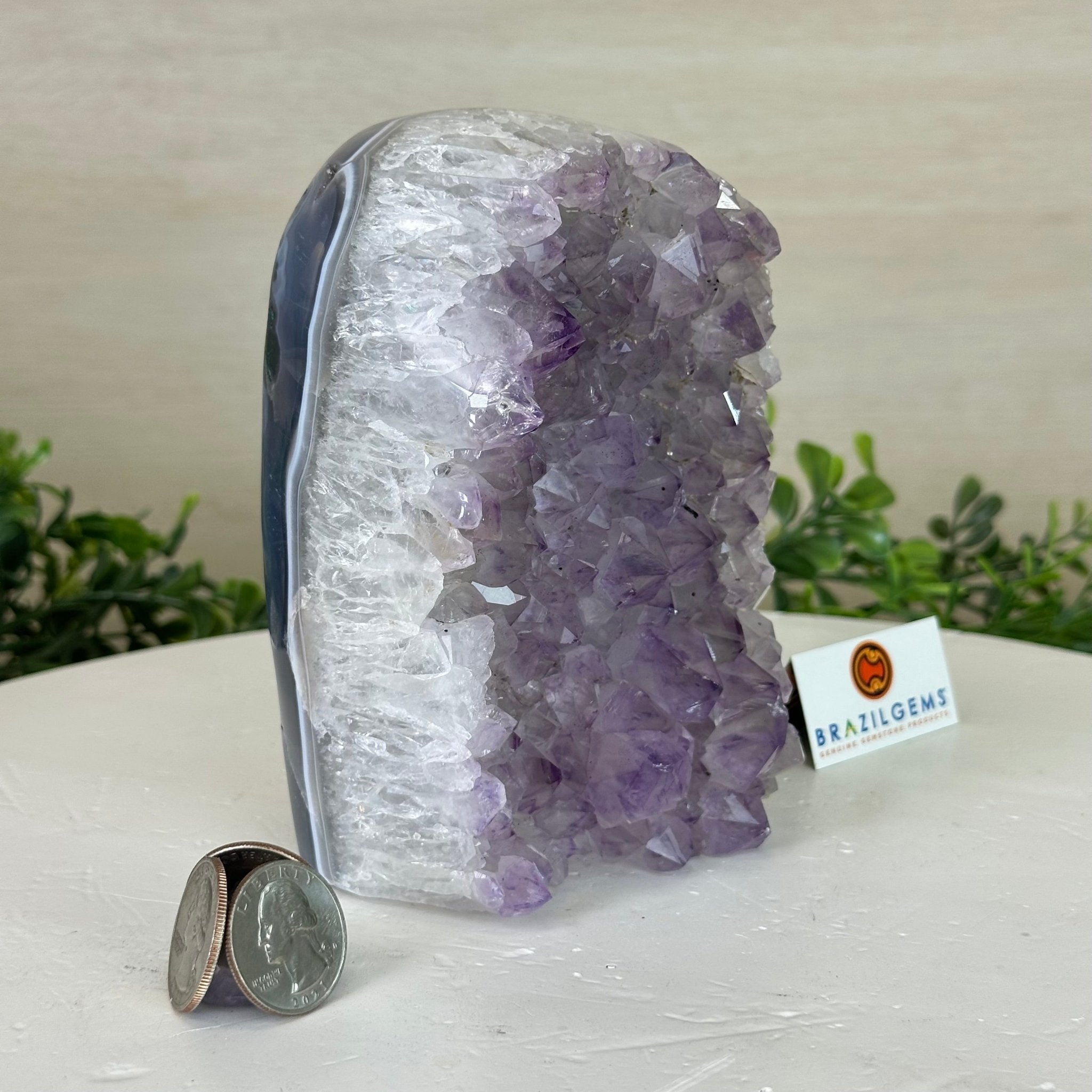 Drusy Amethyst Night Light 2.9 lbs & 5.5" Tall #5800AM - 006 - Brazil GemsBrazil GemsDrusy Amethyst Night Light 2.9 lbs & 5.5" Tall #5800AM - 006Night Lights5800AM - 006