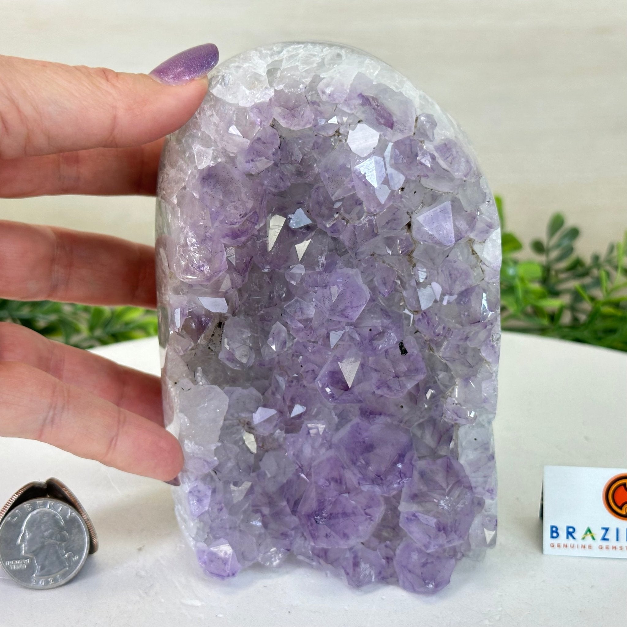 Drusy Amethyst Night Light 2.9 lbs & 5.5" Tall #5800AM - 006 - Brazil GemsBrazil GemsDrusy Amethyst Night Light 2.9 lbs & 5.5" Tall #5800AM - 006Night Lights5800AM - 006