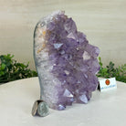 Drusy Amethyst Night Light 4.1 lbs & 6.7" Tall #5800AM - 014 - Brazil GemsBrazil GemsDrusy Amethyst Night Light 4.1 lbs & 6.7" Tall #5800AM - 014Night Lights5800AM - 014