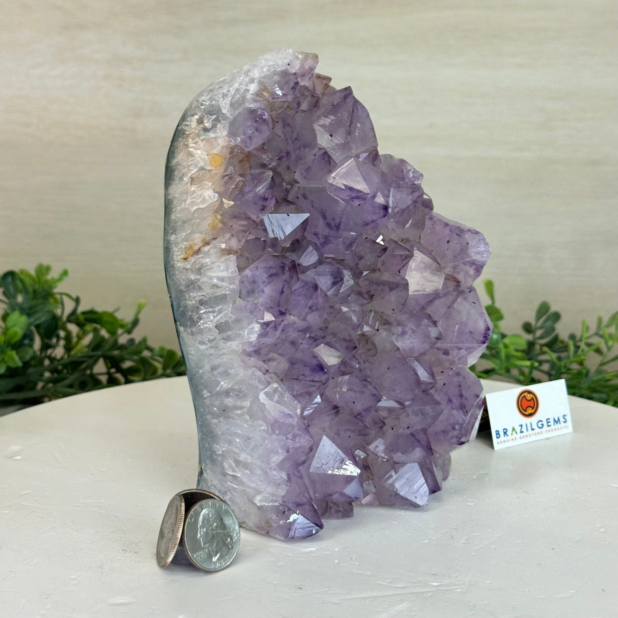 Drusy Amethyst Night Light 4.1 lbs & 6.7" Tall #5800AM - 014 - Brazil GemsBrazil GemsDrusy Amethyst Night Light 4.1 lbs & 6.7" Tall #5800AM - 014Night Lights5800AM - 014