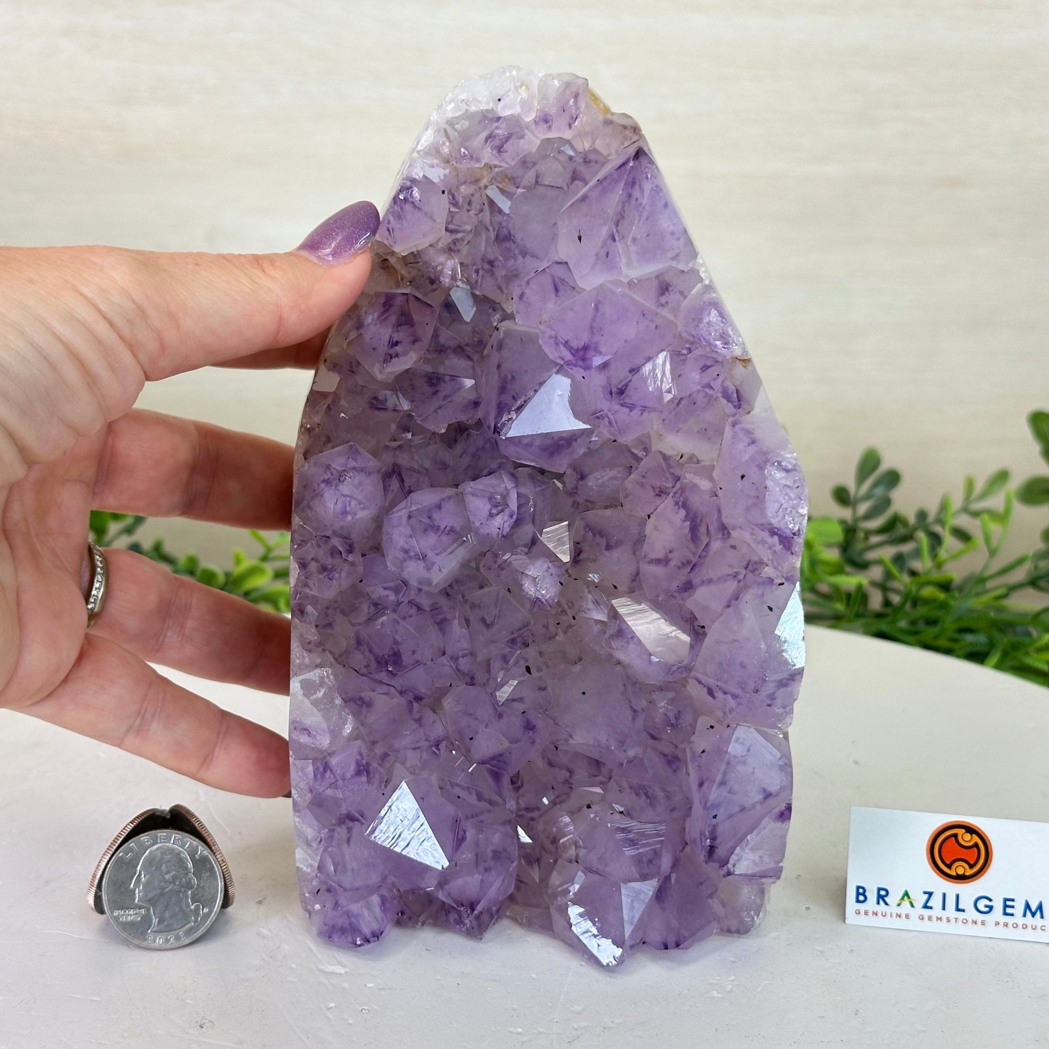 Drusy Amethyst Night Light 4.1 lbs & 6.7" Tall #5800AM - 014 - Brazil GemsBrazil GemsDrusy Amethyst Night Light 4.1 lbs & 6.7" Tall #5800AM - 014Night Lights5800AM - 014