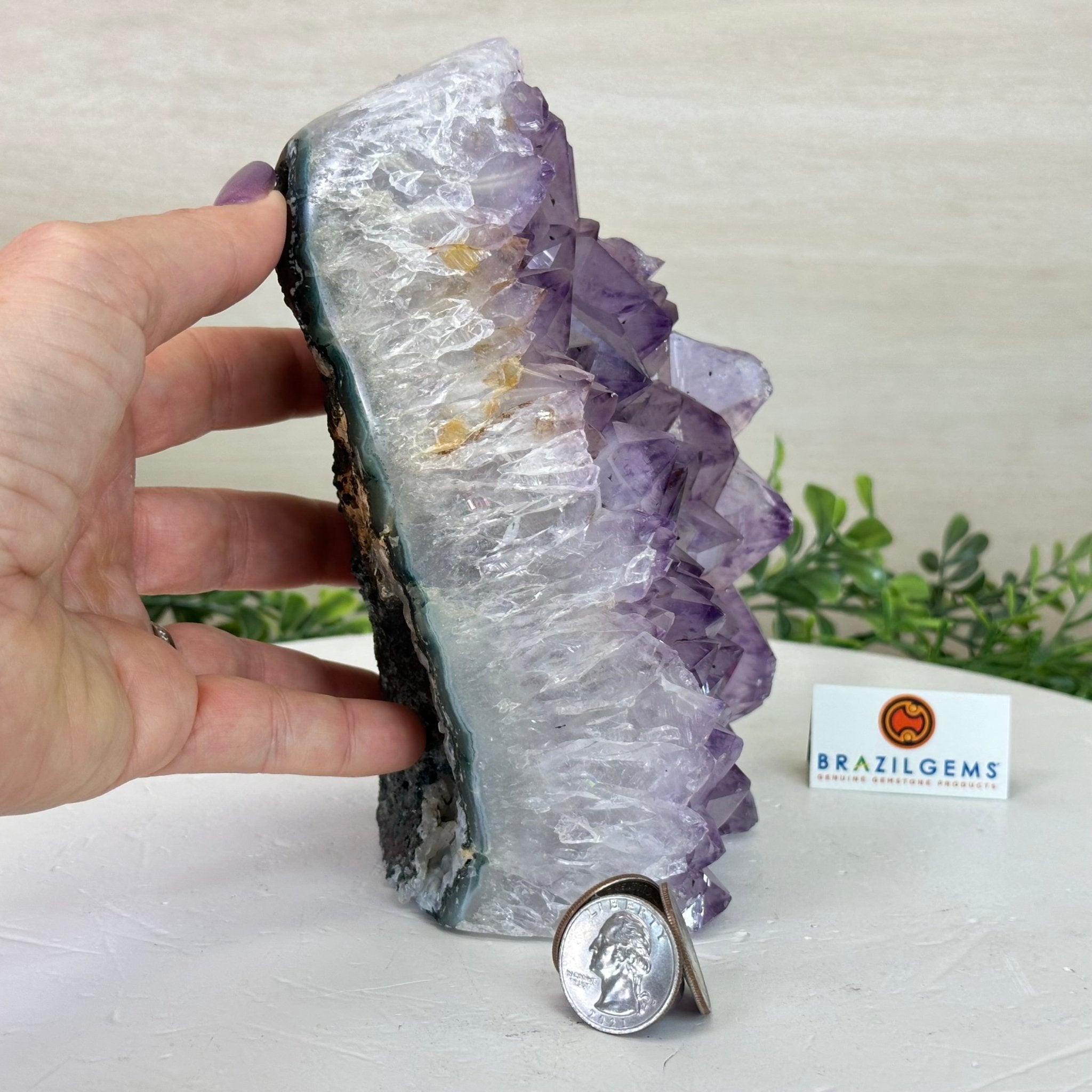 Drusy Amethyst Night Light 4.1 lbs & 6.7" Tall #5800AM - 014 - Brazil GemsBrazil GemsDrusy Amethyst Night Light 4.1 lbs & 6.7" Tall #5800AM - 014Night Lights5800AM - 014